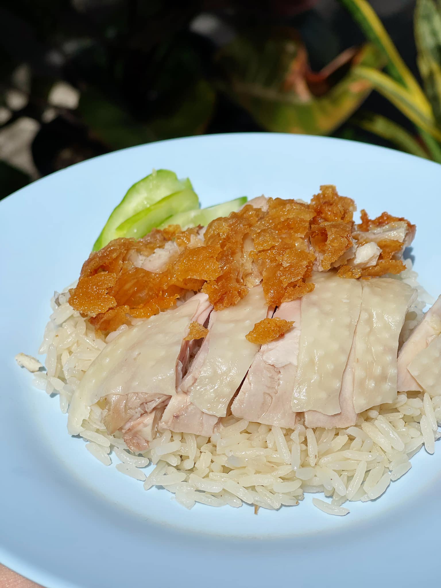 เมตตา หมูทอด, ข้าวมันไก่โง้วชุ้งฮวด, ร้านอาหารเรือนแพ, ป้าเก๋แหนมเนือง, ก๋วยเตี๋ยวต้มยำพริกเผาหมูบ่ะช่อ, อบเจริญ, ร้านก๋วยเตี๋ยวสวนรื่น ซ.จรัญฯ66/1, อรวรรณ แหนมเนือง, ครัวศรแดง, ยุ้ยกี่บะหมี่ราชวิถี