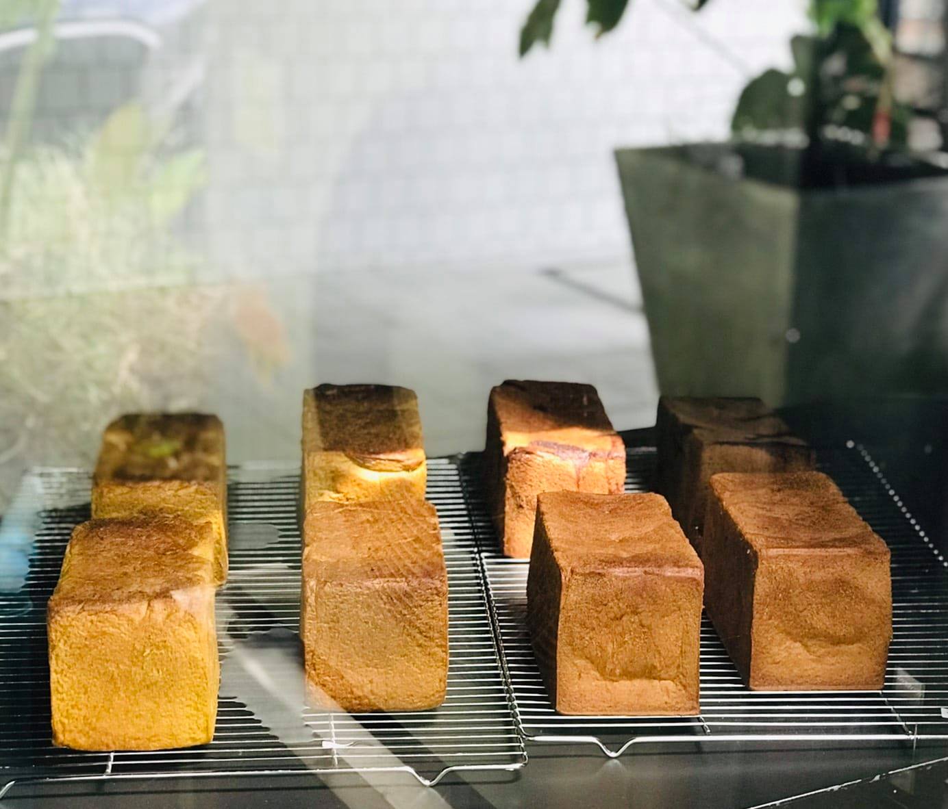 NANA Coffee Roasters, Mmc.bkk, FO SHO BRO, Dear December Cafe, The 66 Cottage, The Black Forest, Bougain Cafe &amp; Crafts, La Mesa Coffee Co., Coffee Station, Gooseberry Coffee Bearing-Lasalle, OOOz.cafe , Shalala Cafe