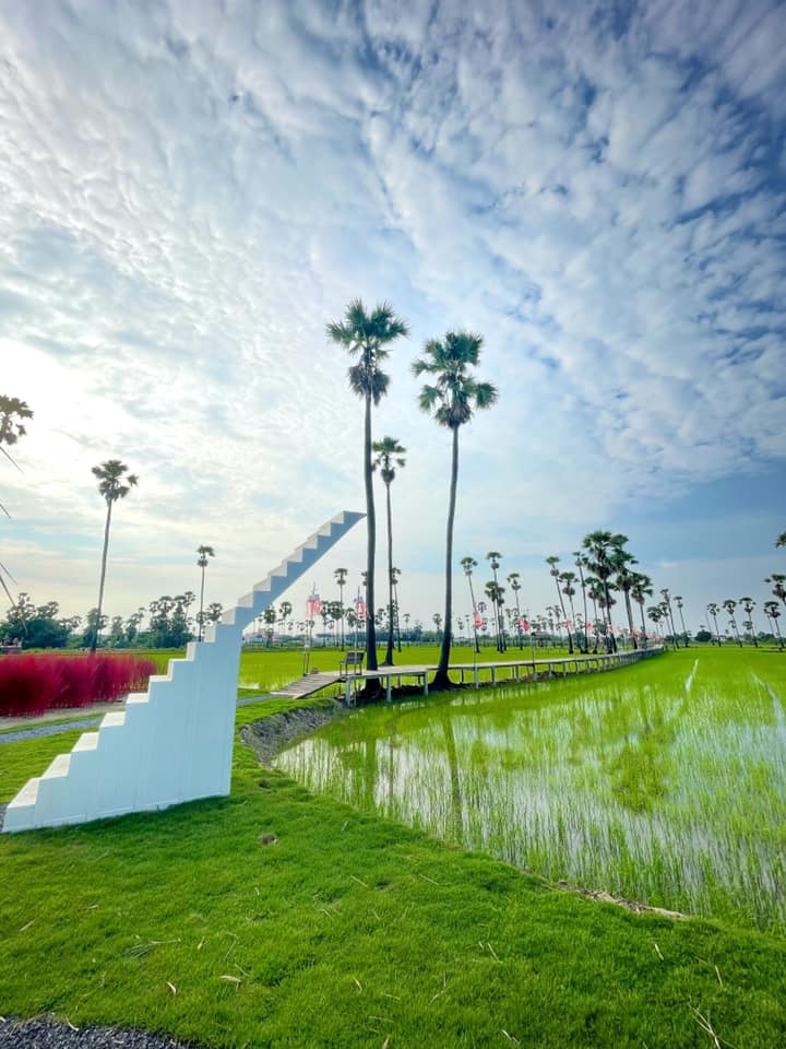 Smitten Cafe and Decor, Thong Ampai Café, THREE Cafe, Continue.cafe, Sunday in 345 cafe, Aprilhouse, The Aileen Cafe', Oliva Cafe, The Kottage Cafe, Plant Cafe, ปิ่นโตนามีตาล, Baan Kanom De'Pathum, Pumpkin Art Town, Mushroom Hut Cafe, KAD Cafe - กาด คาเฟ่, ADAM cafe