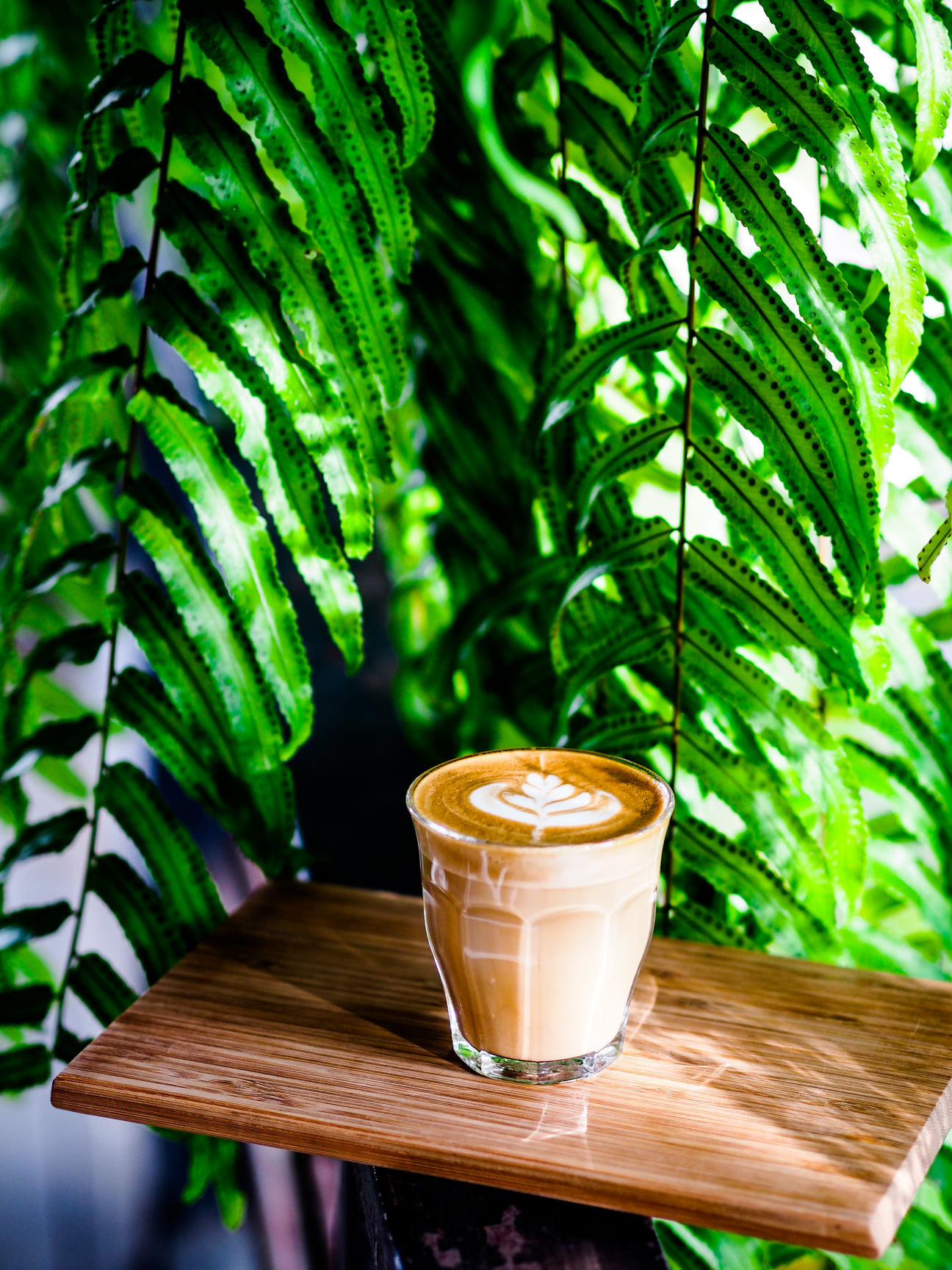 Smitten Cafe and Decor, Thong Ampai Café, THREE Cafe, Continue.cafe, Sunday in 345 cafe, Aprilhouse, The Aileen Cafe', Oliva Cafe, The Kottage Cafe, Plant Cafe, ปิ่นโตนามีตาล, Baan Kanom De'Pathum, Pumpkin Art Town, Mushroom Hut Cafe, KAD Cafe - กาด คาเฟ่, ADAM cafe