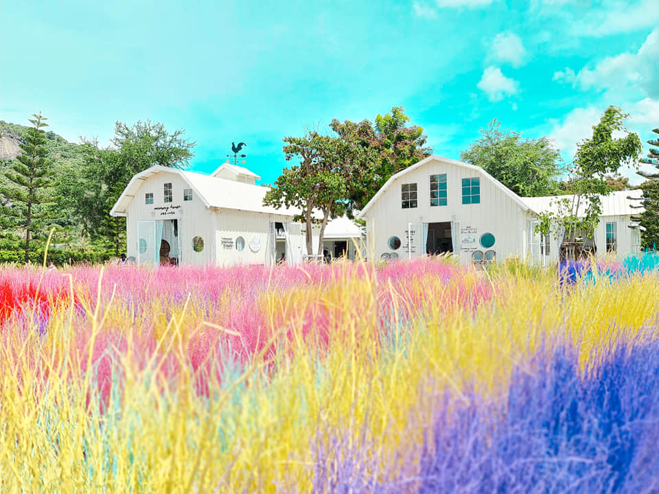 Ka-Num Home Cafe, mira cafe, สุขพอ-Sukpor, ลิ้มรส Limrot, RE - REST CAFE, BAMP : Beach &amp; Cafe, สุดา คาเฟ่ Suda Cafe", RAY CAFE, Top Seacret Beach Cafe, 25 Monday cafe', Tree House Cafe', Memory House Cafe HuaHin, B’day Cafe, 3pm cafe’, One &amp; Only Café, Bay Camp Cafe