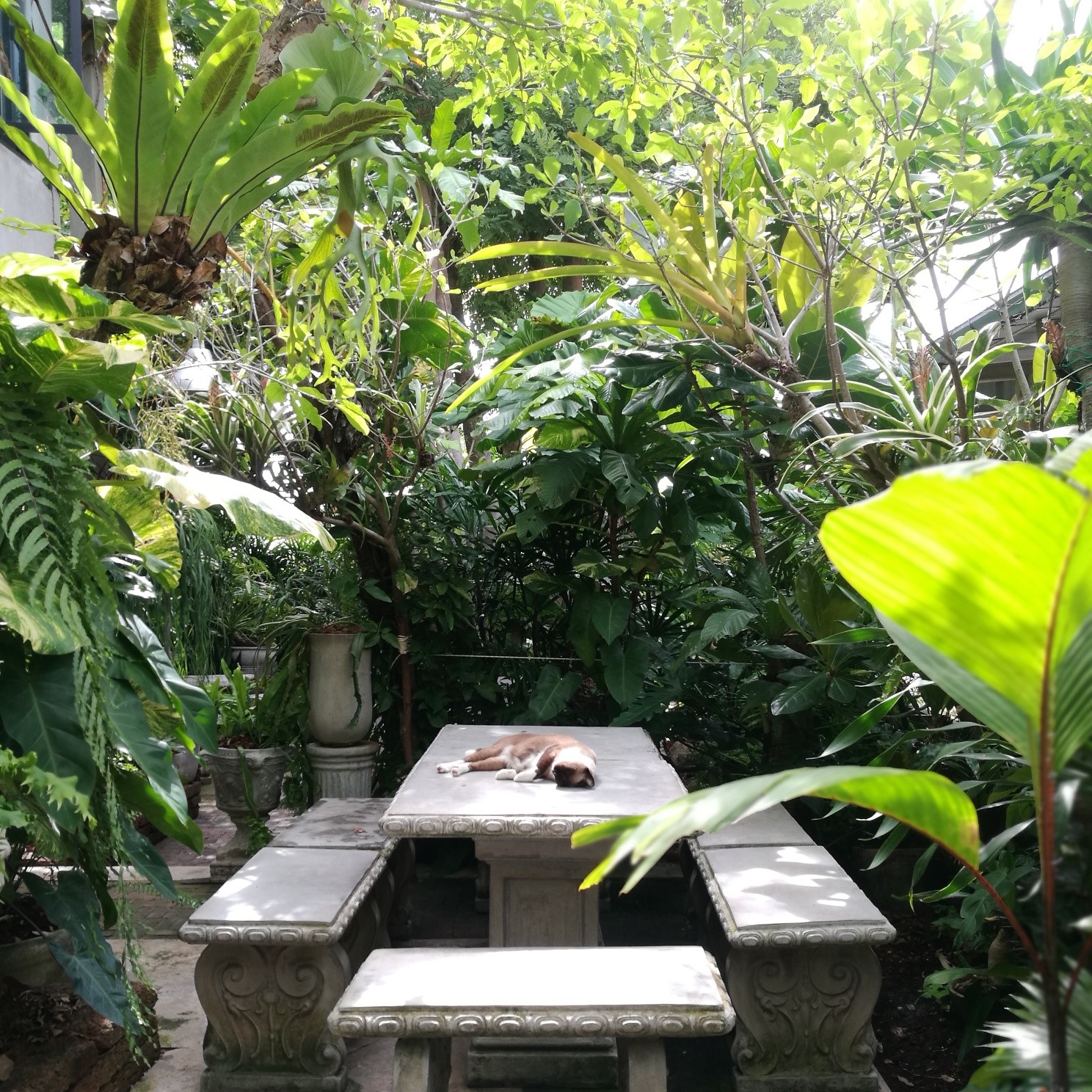 Ka-Num Home Cafe, mira cafe, สุขพอ-Sukpor, ลิ้มรส Limrot, RE - REST CAFE, BAMP : Beach &amp; Cafe, สุดา คาเฟ่ Suda Cafe", RAY CAFE, Top Seacret Beach Cafe, 25 Monday cafe', Tree House Cafe', Memory House Cafe HuaHin, B’day Cafe, 3pm cafe’, One &amp; Only Café, Bay Camp Cafe