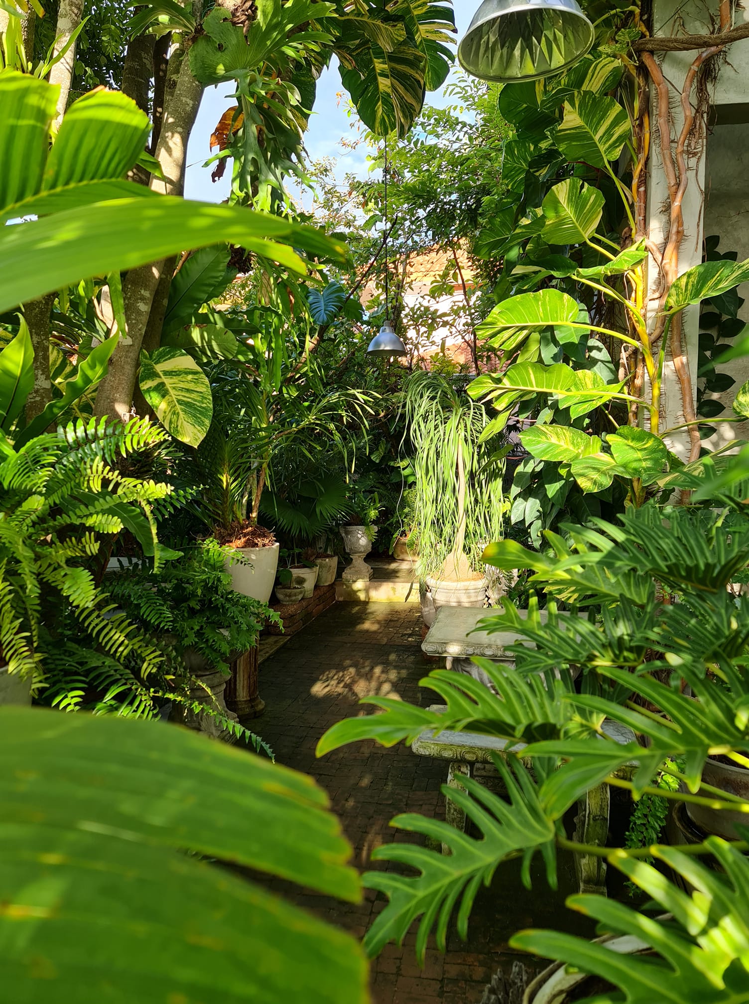 Ka-Num Home Cafe, mira cafe, สุขพอ-Sukpor, ลิ้มรส Limrot, RE - REST CAFE, BAMP : Beach &amp; Cafe, สุดา คาเฟ่ Suda Cafe", RAY CAFE, Top Seacret Beach Cafe, 25 Monday cafe', Tree House Cafe', Memory House Cafe HuaHin, B’day Cafe, 3pm cafe’, One &amp; Only Café, Bay Camp Cafe