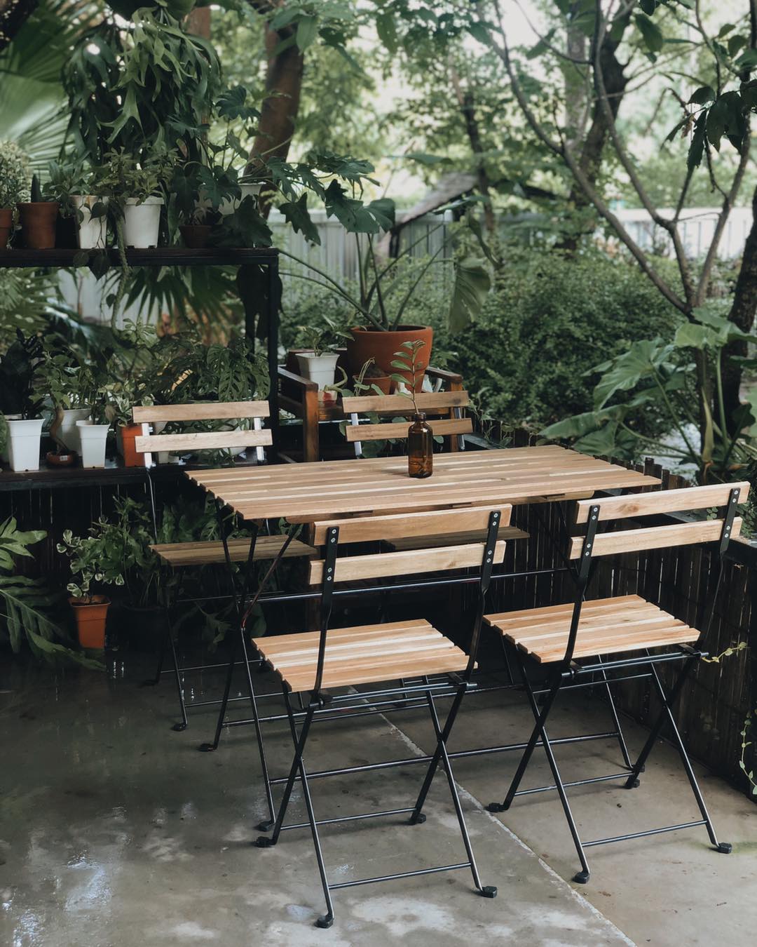 Autumn haus, YOJU Cafe, Lemon Me Farm, STARTCafé, Lot no.8 cafe, 23 cafe and bistro, STAY WITH TREE cafe, April Flavors cafe, Destiny cafe', บ้านปายนา, DUBUA CAFE, House of Chandra - เสน่ห์จันทน์ , 11 Elephant Dessert Cafe, Hangar Cafe', Merce Cafe & Restaurant, Ton Khao Terrace, O2 Kaffee & Bistro, Pomelo Cafe, Little tree, Chinu Coffee