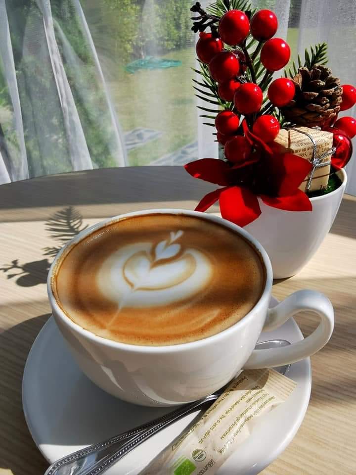 Autumn haus, YOJU Cafe, Lemon Me Farm, STARTCafé, Lot no.8 cafe, 23 cafe and bistro, STAY WITH TREE cafe, April Flavors cafe, Destiny cafe', บ้านปายนา, DUBUA CAFE, House of Chandra - เสน่ห์จันทน์ , 11 Elephant Dessert Cafe, Hangar Cafe', Merce Cafe & Restaurant, Ton Khao Terrace, O2 Kaffee & Bistro, Pomelo Cafe, Little tree, Chinu Coffee