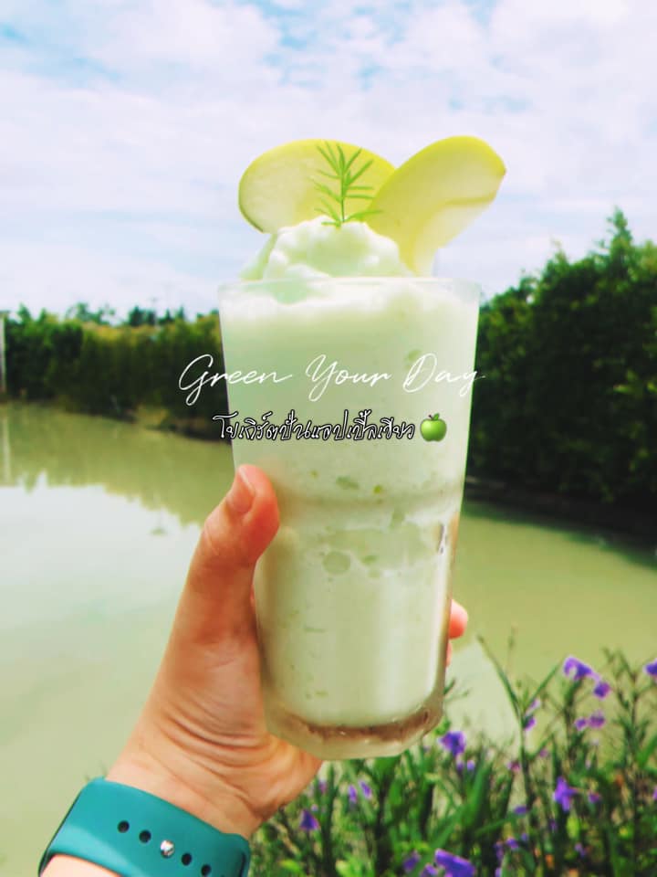 Autumn haus, YOJU Cafe, Lemon Me Farm, STARTCafé, Lot no.8 cafe, 23 cafe and bistro, STAY WITH TREE cafe, April Flavors cafe, Destiny cafe', บ้านปายนา, DUBUA CAFE, House of Chandra - เสน่ห์จันทน์ , 11 Elephant Dessert Cafe, Hangar Cafe', Merce Cafe & Restaurant, Ton Khao Terrace, O2 Kaffee & Bistro, Pomelo Cafe, Little tree, Chinu Coffee