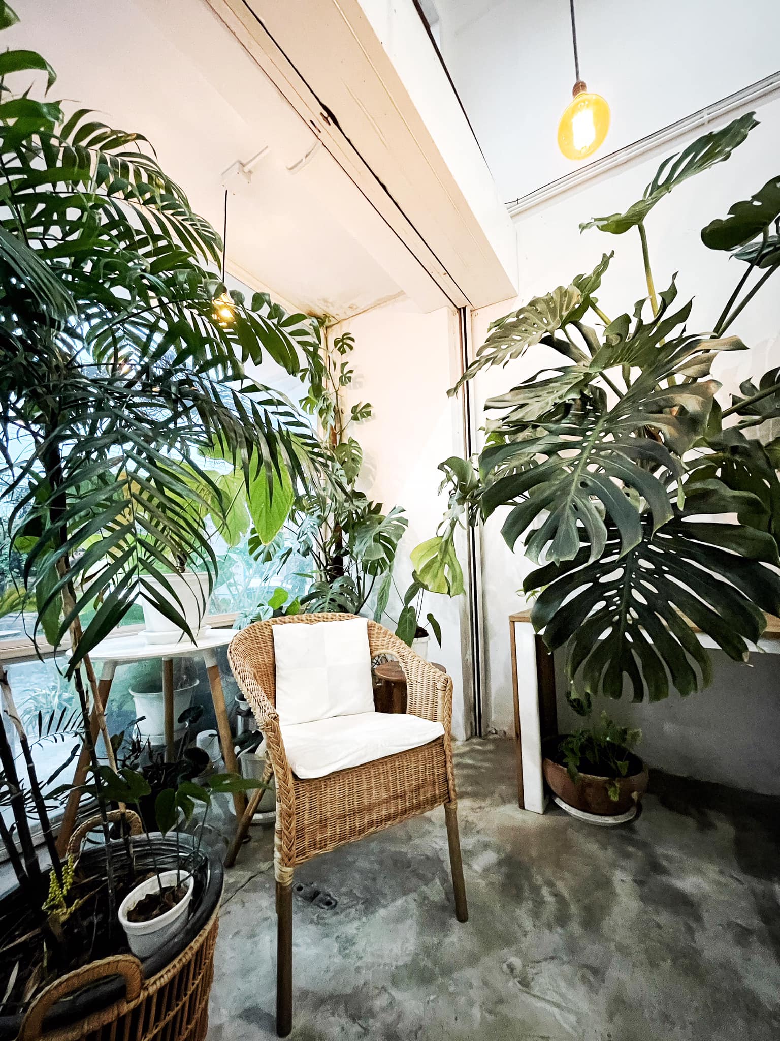 Autumn haus, YOJU Cafe, Lemon Me Farm, STARTCafé, Lot no.8 cafe, 23 cafe and bistro, STAY WITH TREE cafe, April Flavors cafe, Destiny cafe', บ้านปายนา, DUBUA CAFE, House of Chandra - เสน่ห์จันทน์ , 11 Elephant Dessert Cafe, Hangar Cafe', Merce Cafe & Restaurant, Ton Khao Terrace, O2 Kaffee & Bistro, Pomelo Cafe, Little tree, Chinu Coffee