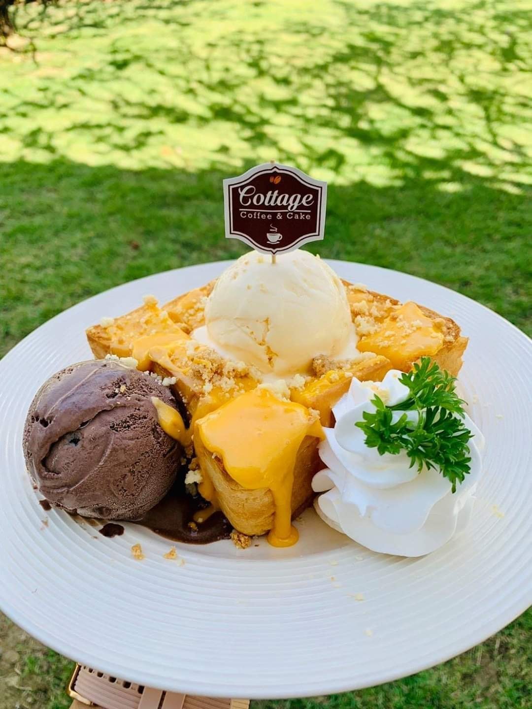 Autumn haus, YOJU Cafe, Lemon Me Farm, STARTCafé, Lot no.8 cafe, 23 cafe and bistro, STAY WITH TREE cafe, April Flavors cafe, Destiny cafe', บ้านปายนา, DUBUA CAFE, House of Chandra - เสน่ห์จันทน์ , 11 Elephant Dessert Cafe, Hangar Cafe', Merce Cafe & Restaurant, Ton Khao Terrace, O2 Kaffee & Bistro, Pomelo Cafe, Little tree, Chinu Coffee