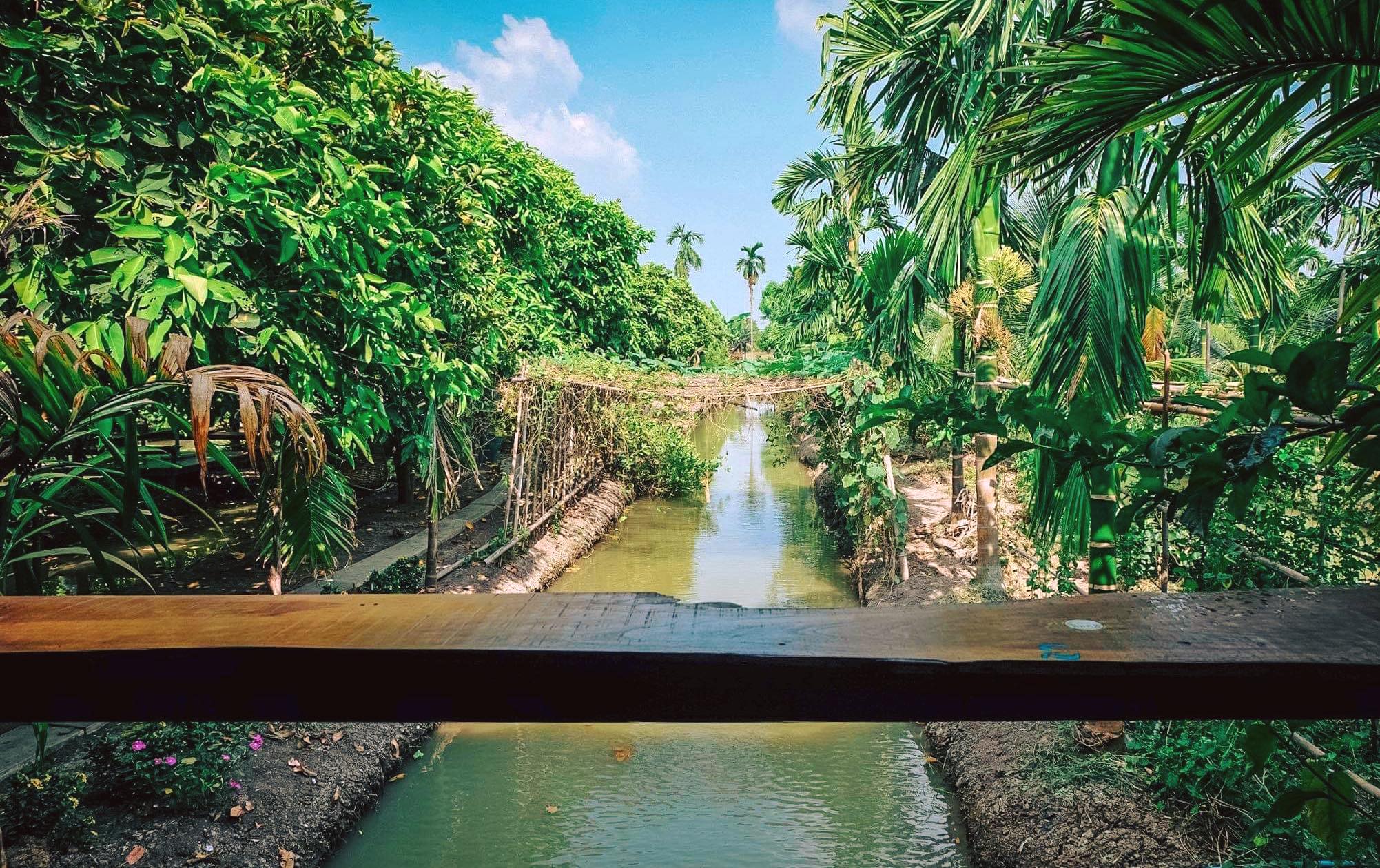 Autumn haus, YOJU Cafe, Lemon Me Farm, STARTCafé, Lot no.8 cafe, 23 cafe and bistro, STAY WITH TREE cafe, April Flavors cafe, Destiny cafe', บ้านปายนา, DUBUA CAFE, House of Chandra - เสน่ห์จันทน์ , 11 Elephant Dessert Cafe, Hangar Cafe', Merce Cafe & Restaurant, Ton Khao Terrace, O2 Kaffee & Bistro, Pomelo Cafe, Little tree, Chinu Coffee