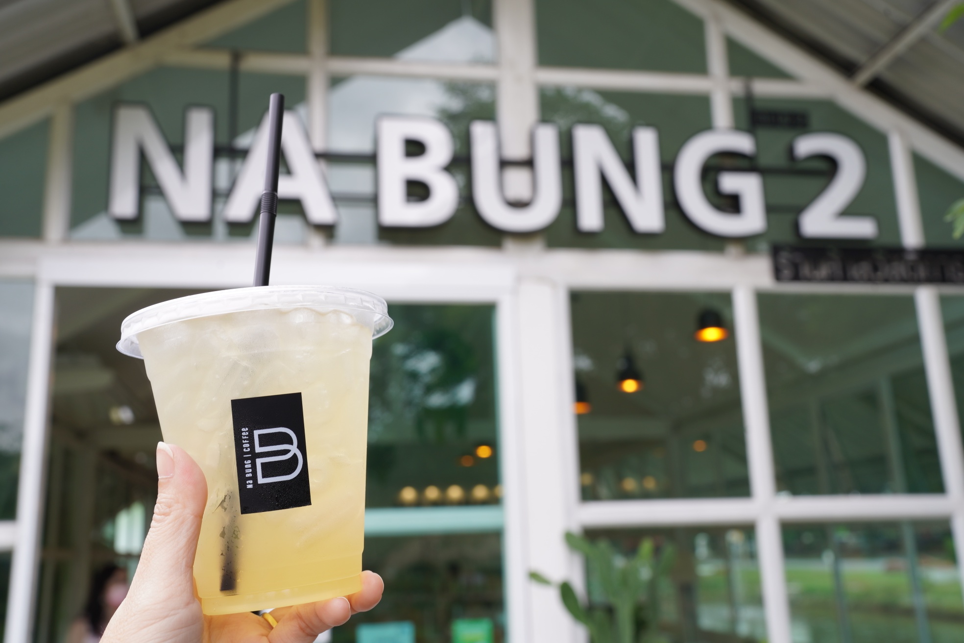 White House Forest, เกษม : KASEM Coffee, Rosie.nak, Luk Labb Coffee, Grande KAFE, KFD in Town, สวรรค์บ้านนา คาเฟ่ Food &amp; Drink, กอหญ้า คาเฟ่, ณ บุ่ง Coffee, polar polar CAFE', Yellow Pumpkin, ร้าน Yellow Pumpkin เปิดบริการตามปกติ 11.00-17.00 น. (ปิดวันพฤหัสบดี), I'm home cafe, ประจำอำเภอ, glinfon, 382 Space Café, La-Moon cafe'