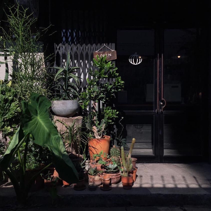 White House Forest, เกษม : KASEM Coffee, Rosie.nak, Luk Labb Coffee, Grande KAFE, KFD in Town, สวรรค์บ้านนา คาเฟ่ Food &amp; Drink, กอหญ้า คาเฟ่, ณ บุ่ง Coffee, polar polar CAFE', Yellow Pumpkin, ร้าน Yellow Pumpkin เปิดบริการตามปกติ 11.00-17.00 น. (ปิดวันพฤหัสบดี), I'm home cafe, ประจำอำเภอ, glinfon, 382 Space Café, La-Moon cafe'