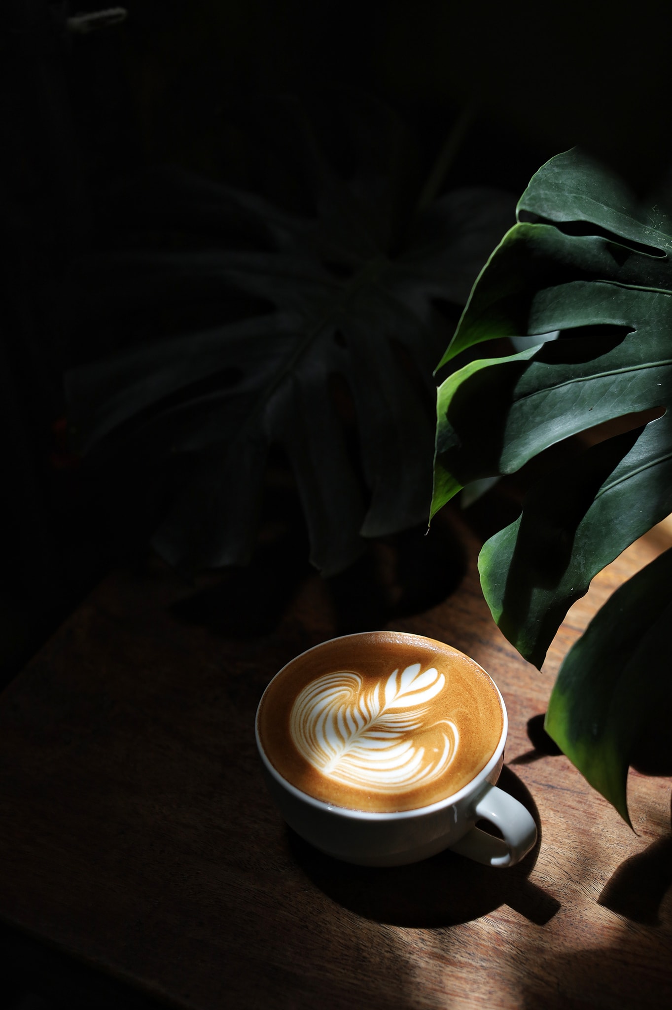 White House Forest, เกษม : KASEM Coffee, Rosie.nak, Luk Labb Coffee, Grande KAFE, KFD in Town, สวรรค์บ้านนา คาเฟ่ Food &amp; Drink, กอหญ้า คาเฟ่, ณ บุ่ง Coffee, polar polar CAFE', Yellow Pumpkin, ร้าน Yellow Pumpkin เปิดบริการตามปกติ 11.00-17.00 น. (ปิดวันพฤหัสบดี), I'm home cafe, ประจำอำเภอ, glinfon, 382 Space Café, La-Moon cafe'