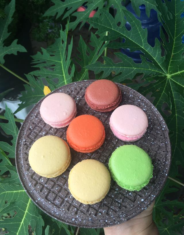 White House Forest, เกษม : KASEM Coffee, Rosie.nak, Luk Labb Coffee, Grande KAFE, KFD in Town, สวรรค์บ้านนา คาเฟ่ Food &amp; Drink, กอหญ้า คาเฟ่, ณ บุ่ง Coffee, polar polar CAFE', Yellow Pumpkin, ร้าน Yellow Pumpkin เปิดบริการตามปกติ 11.00-17.00 น. (ปิดวันพฤหัสบดี), I'm home cafe, ประจำอำเภอ, glinfon, 382 Space Café, La-Moon cafe'