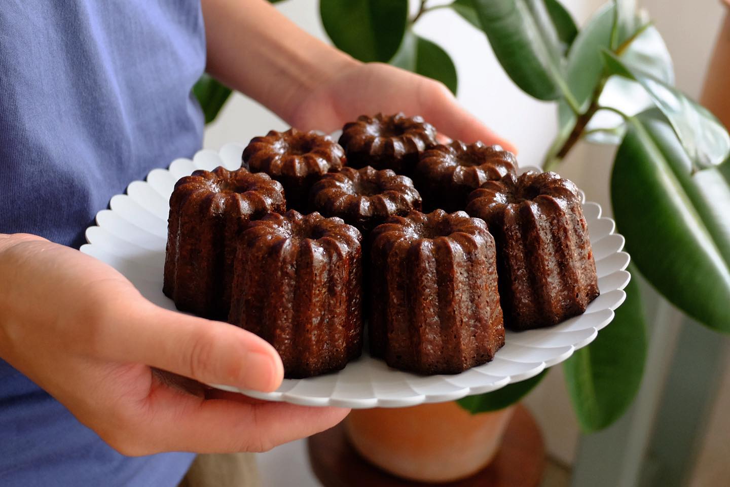 White House Forest, เกษม : KASEM Coffee, Rosie.nak, Luk Labb Coffee, Grande KAFE, KFD in Town, สวรรค์บ้านนา คาเฟ่ Food &amp; Drink, กอหญ้า คาเฟ่, ณ บุ่ง Coffee, polar polar CAFE', Yellow Pumpkin, ร้าน Yellow Pumpkin เปิดบริการตามปกติ 11.00-17.00 น. (ปิดวันพฤหัสบดี), I'm home cafe, ประจำอำเภอ, glinfon, 382 Space Café, La-Moon cafe'