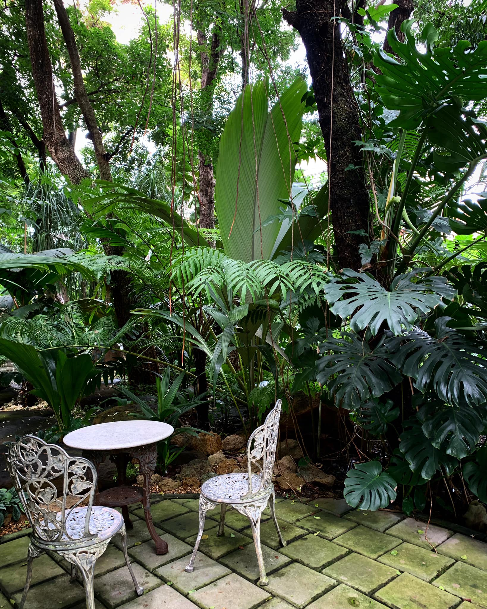 White House Forest, เกษม : KASEM Coffee, Rosie.nak, Luk Labb Coffee, Grande KAFE, KFD in Town, สวรรค์บ้านนา คาเฟ่ Food &amp; Drink, กอหญ้า คาเฟ่, ณ บุ่ง Coffee, polar polar CAFE', Yellow Pumpkin, ร้าน Yellow Pumpkin เปิดบริการตามปกติ 11.00-17.00 น. (ปิดวันพฤหัสบดี), I'm home cafe, ประจำอำเภอ, glinfon, 382 Space Café, La-Moon cafe'