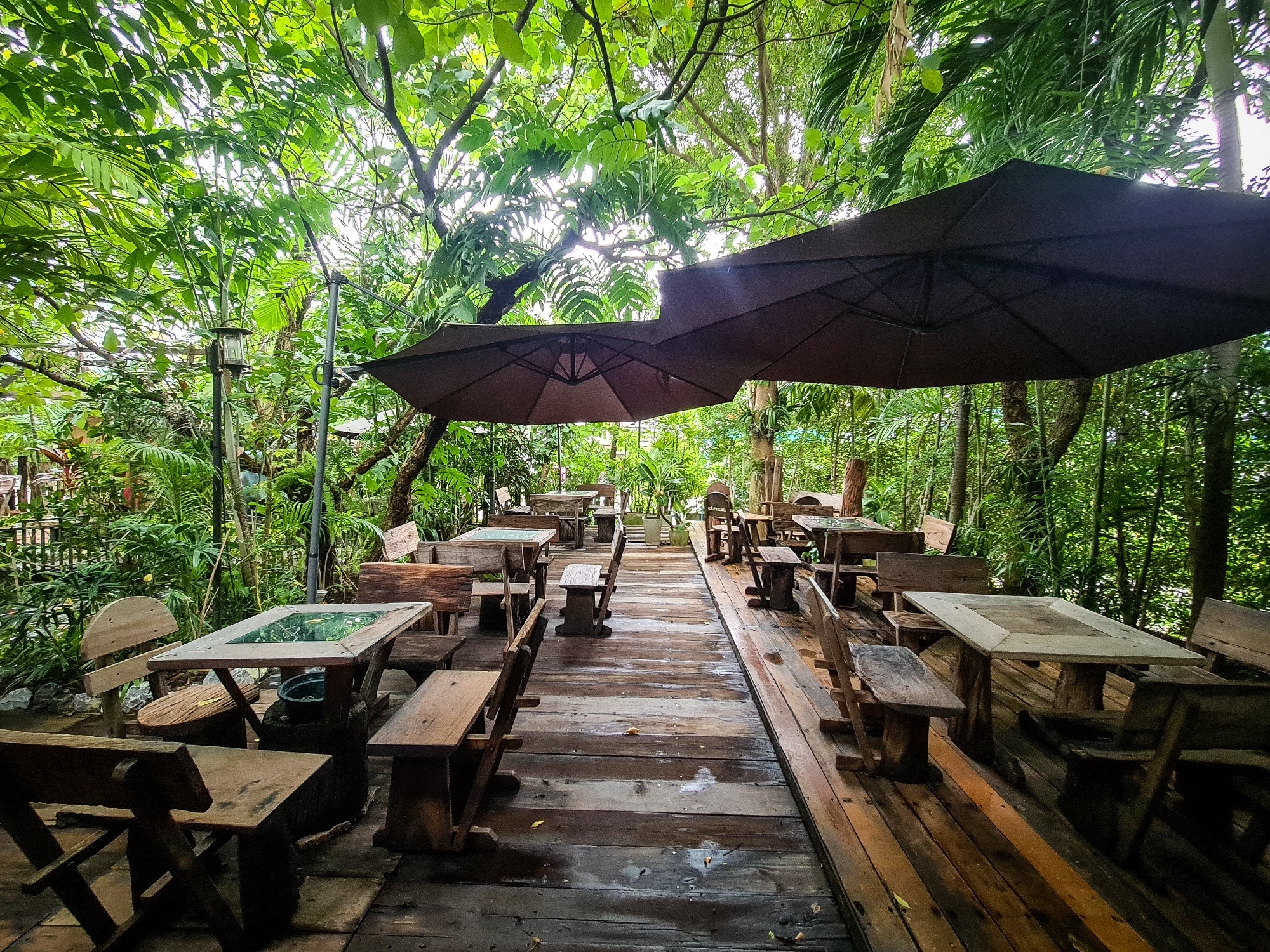 White House Forest, เกษม : KASEM Coffee, Rosie.nak, Luk Labb Coffee, Grande KAFE, KFD in Town, สวรรค์บ้านนา คาเฟ่ Food &amp; Drink, กอหญ้า คาเฟ่, ณ บุ่ง Coffee, polar polar CAFE', Yellow Pumpkin, ร้าน Yellow Pumpkin เปิดบริการตามปกติ 11.00-17.00 น. (ปิดวันพฤหัสบดี), I'm home cafe, ประจำอำเภอ, glinfon, 382 Space Café, La-Moon cafe'