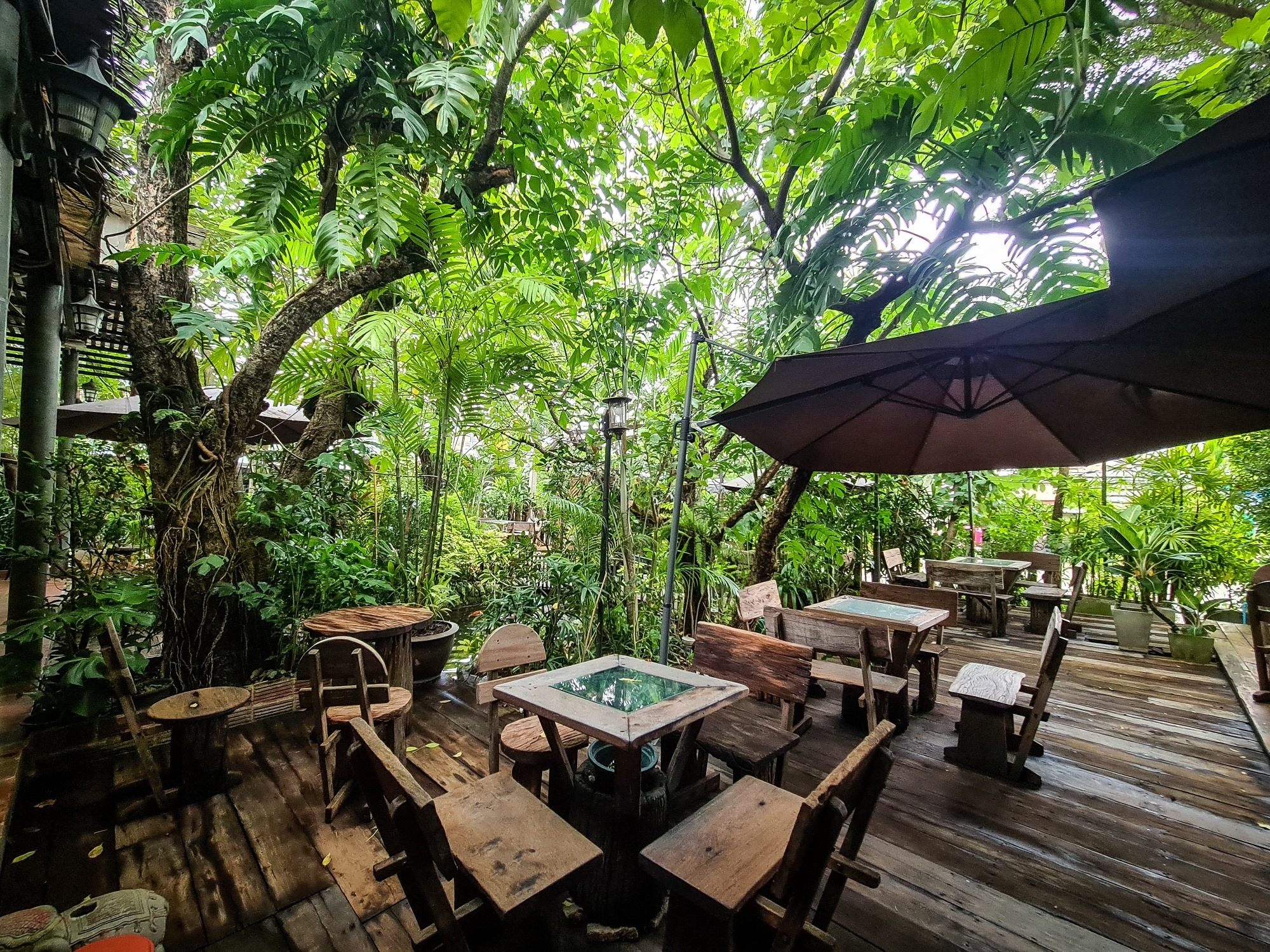 White House Forest, เกษม : KASEM Coffee, Rosie.nak, Luk Labb Coffee, Grande KAFE, KFD in Town, สวรรค์บ้านนา คาเฟ่ Food &amp; Drink, กอหญ้า คาเฟ่, ณ บุ่ง Coffee, polar polar CAFE', Yellow Pumpkin, ร้าน Yellow Pumpkin เปิดบริการตามปกติ 11.00-17.00 น. (ปิดวันพฤหัสบดี), I'm home cafe, ประจำอำเภอ, glinfon, 382 Space Café, La-Moon cafe'