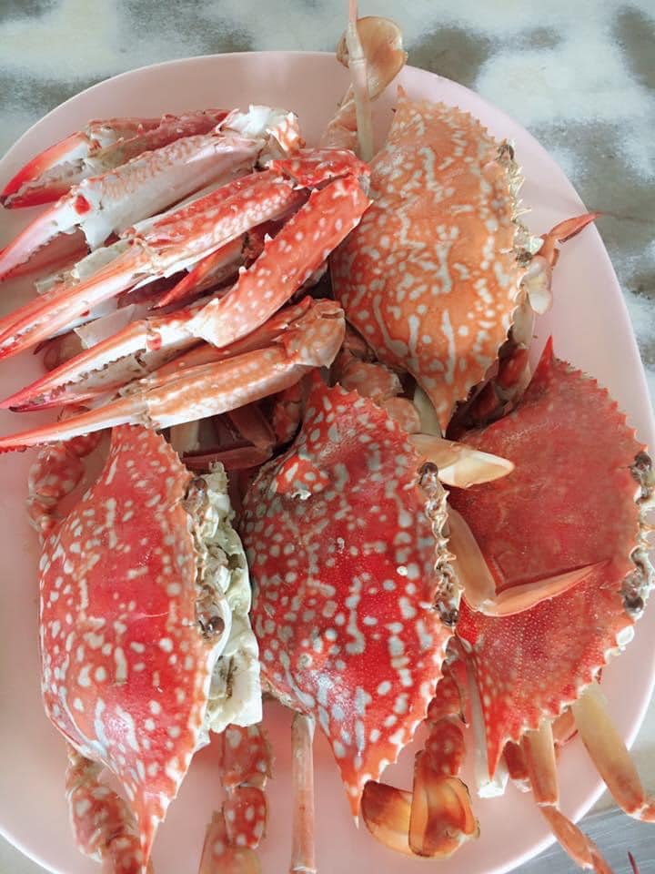 จ๊ะโอ๋ซีฟู๊ด, รุ่งฟ้า ซีฟู้ด, วิวทิวไม้ ซีฟู้ด, ครัวลุงแถม, ครัวแพขวัญใจซีฟู้ด บางขุนเทียน, ครัวน้าเนียมซีฟู้ด, ครัวนพเก้าซีฟู้ด, ครัวทับทิม ซีฟู้ด, ครัวพ่อกำนันซีฟู๊ด บางขุนเทียน-ชายทะเล, บ้านปองพลซีฟู้ด, ครัววลัยพร, ธารทะเลซีฟู้ด บางขุนเทียน-ชายทะเล, ฟาร์มสมใจซีฟู้ดส์ บางขุนเทียนชายทะเล, ครัวคุณอรซีฟู๊ดบางขุนเทียน