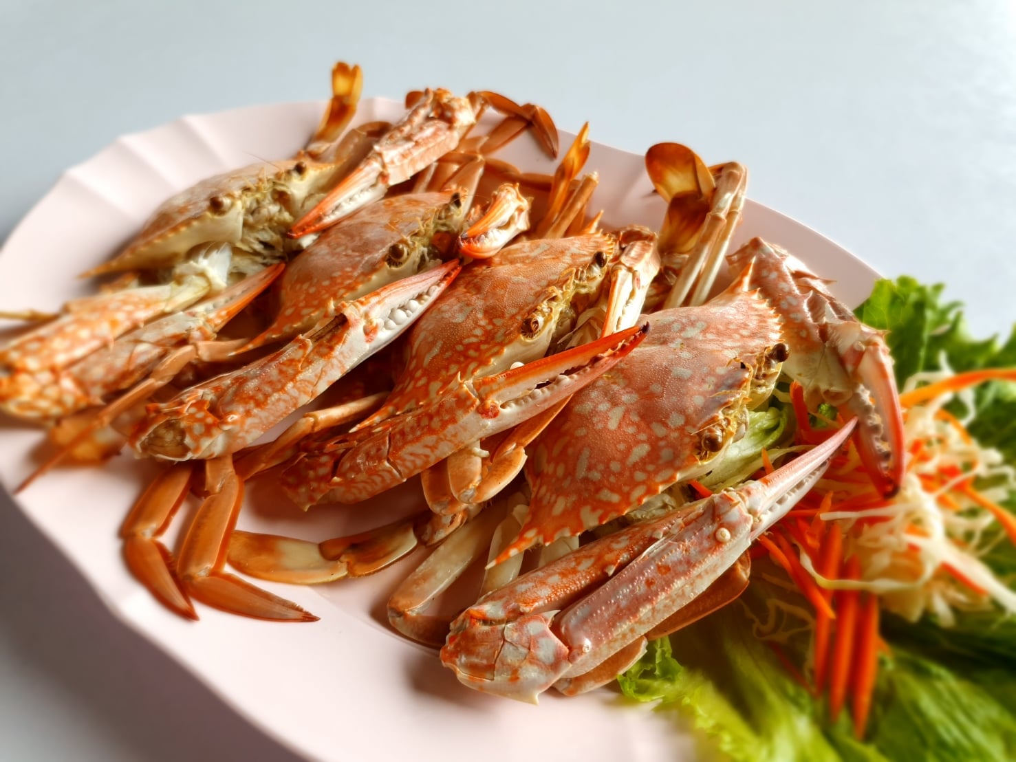 จ๊ะโอ๋ซีฟู๊ด, รุ่งฟ้า ซีฟู้ด, วิวทิวไม้ ซีฟู้ด, ครัวลุงแถม, ครัวแพขวัญใจซีฟู้ด บางขุนเทียน, ครัวน้าเนียมซีฟู้ด, ครัวนพเก้าซีฟู้ด, ครัวทับทิม ซีฟู้ด, ครัวพ่อกำนันซีฟู๊ด บางขุนเทียน-ชายทะเล, บ้านปองพลซีฟู้ด, ครัววลัยพร, ธารทะเลซีฟู้ด บางขุนเทียน-ชายทะเล, ฟาร์มสมใจซีฟู้ดส์ บางขุนเทียนชายทะเล, ครัวคุณอรซีฟู๊ดบางขุนเทียน