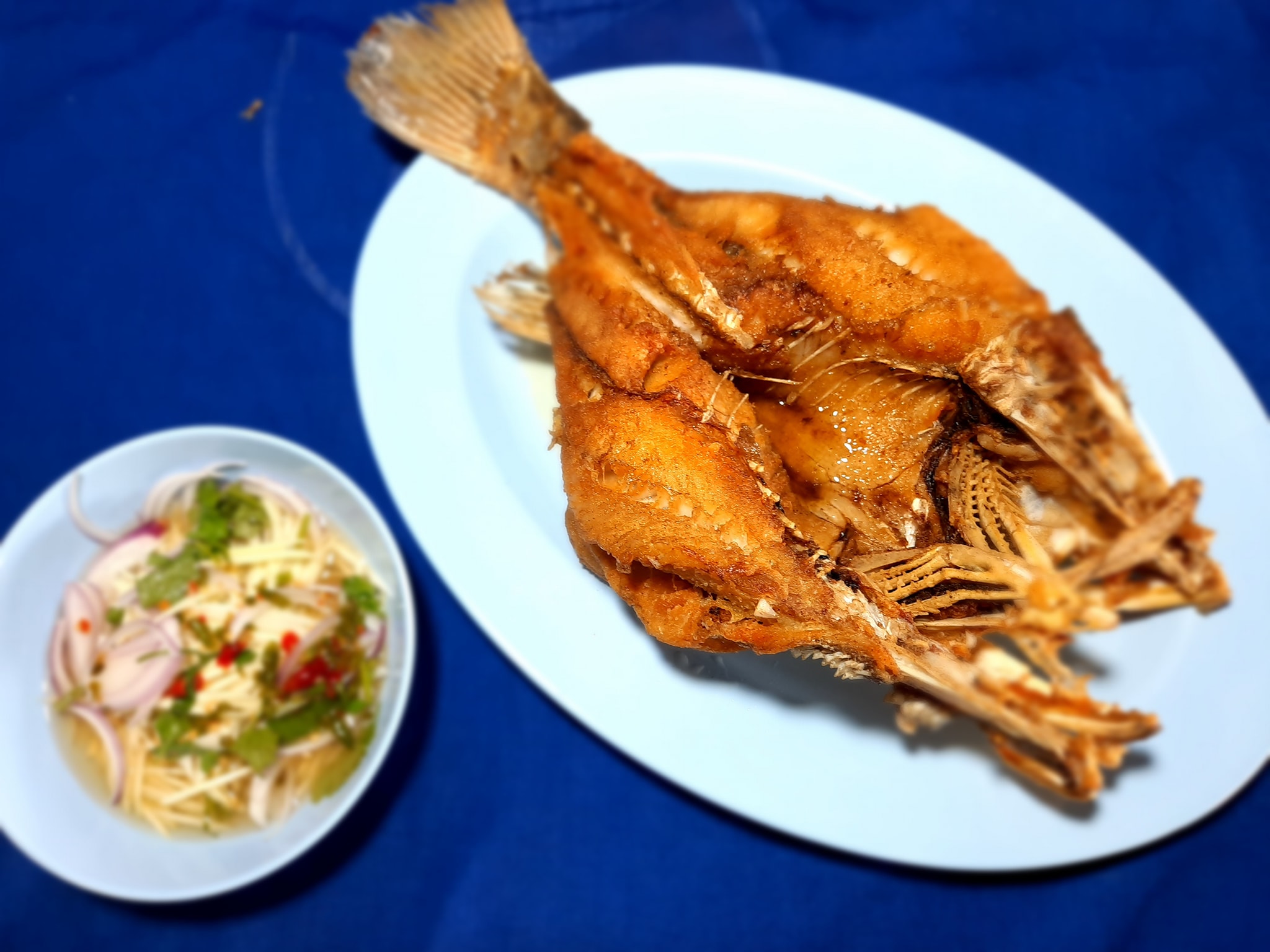 จ๊ะโอ๋ซีฟู๊ด, รุ่งฟ้า ซีฟู้ด, วิวทิวไม้ ซีฟู้ด, ครัวลุงแถม, ครัวแพขวัญใจซีฟู้ด บางขุนเทียน, ครัวน้าเนียมซีฟู้ด, ครัวนพเก้าซีฟู้ด, ครัวทับทิม ซีฟู้ด, ครัวพ่อกำนันซีฟู๊ด บางขุนเทียน-ชายทะเล, บ้านปองพลซีฟู้ด, ครัววลัยพร, ธารทะเลซีฟู้ด บางขุนเทียน-ชายทะเล, ฟาร์มสมใจซีฟู้ดส์ บางขุนเทียนชายทะเล, ครัวคุณอรซีฟู๊ดบางขุนเทียน