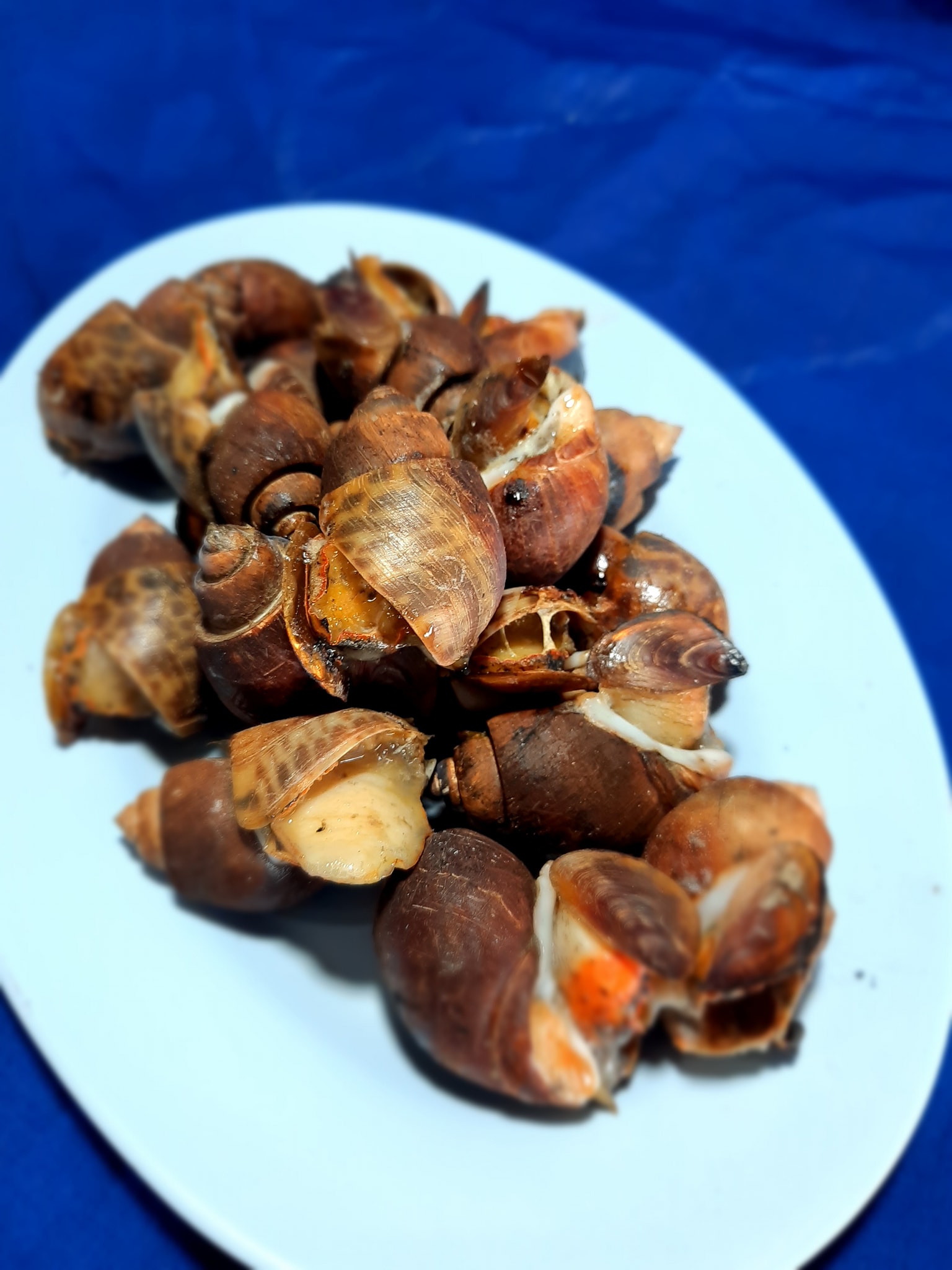 จ๊ะโอ๋ซีฟู๊ด, รุ่งฟ้า ซีฟู้ด, วิวทิวไม้ ซีฟู้ด, ครัวลุงแถม, ครัวแพขวัญใจซีฟู้ด บางขุนเทียน, ครัวน้าเนียมซีฟู้ด, ครัวนพเก้าซีฟู้ด, ครัวทับทิม ซีฟู้ด, ครัวพ่อกำนันซีฟู๊ด บางขุนเทียน-ชายทะเล, บ้านปองพลซีฟู้ด, ครัววลัยพร, ธารทะเลซีฟู้ด บางขุนเทียน-ชายทะเล, ฟาร์มสมใจซีฟู้ดส์ บางขุนเทียนชายทะเล, ครัวคุณอรซีฟู๊ดบางขุนเทียน