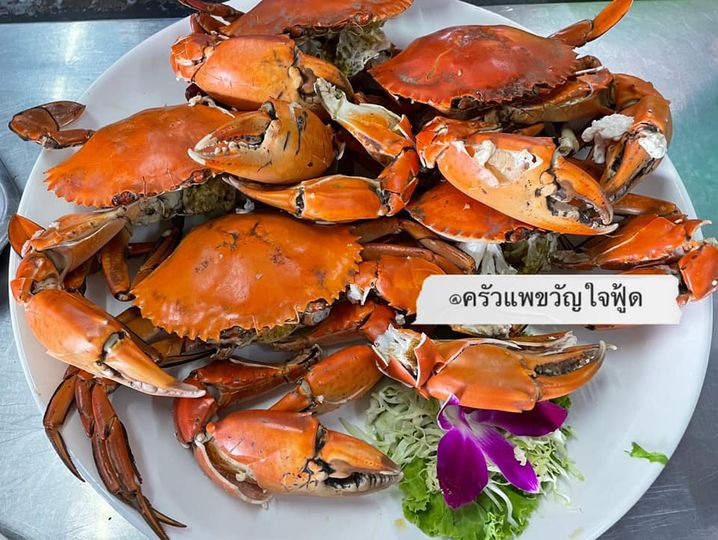 จ๊ะโอ๋ซีฟู๊ด, รุ่งฟ้า ซีฟู้ด, วิวทิวไม้ ซีฟู้ด, ครัวลุงแถม, ครัวแพขวัญใจซีฟู้ด บางขุนเทียน, ครัวน้าเนียมซีฟู้ด, ครัวนพเก้าซีฟู้ด, ครัวทับทิม ซีฟู้ด, ครัวพ่อกำนันซีฟู๊ด บางขุนเทียน-ชายทะเล, บ้านปองพลซีฟู้ด, ครัววลัยพร, ธารทะเลซีฟู้ด บางขุนเทียน-ชายทะเล, ฟาร์มสมใจซีฟู้ดส์ บางขุนเทียนชายทะเล, ครัวคุณอรซีฟู๊ดบางขุนเทียน