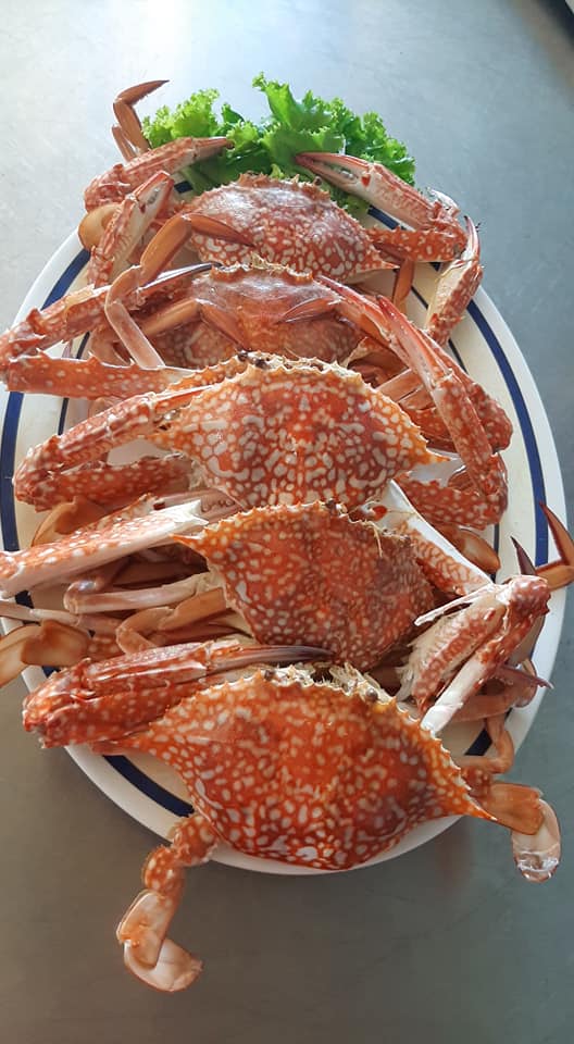 จ๊ะโอ๋ซีฟู๊ด, รุ่งฟ้า ซีฟู้ด, วิวทิวไม้ ซีฟู้ด, ครัวลุงแถม, ครัวแพขวัญใจซีฟู้ด บางขุนเทียน, ครัวน้าเนียมซีฟู้ด, ครัวนพเก้าซีฟู้ด, ครัวทับทิม ซีฟู้ด, ครัวพ่อกำนันซีฟู๊ด บางขุนเทียน-ชายทะเล, บ้านปองพลซีฟู้ด, ครัววลัยพร, ธารทะเลซีฟู้ด บางขุนเทียน-ชายทะเล, ฟาร์มสมใจซีฟู้ดส์ บางขุนเทียนชายทะเล, ครัวคุณอรซีฟู๊ดบางขุนเทียน