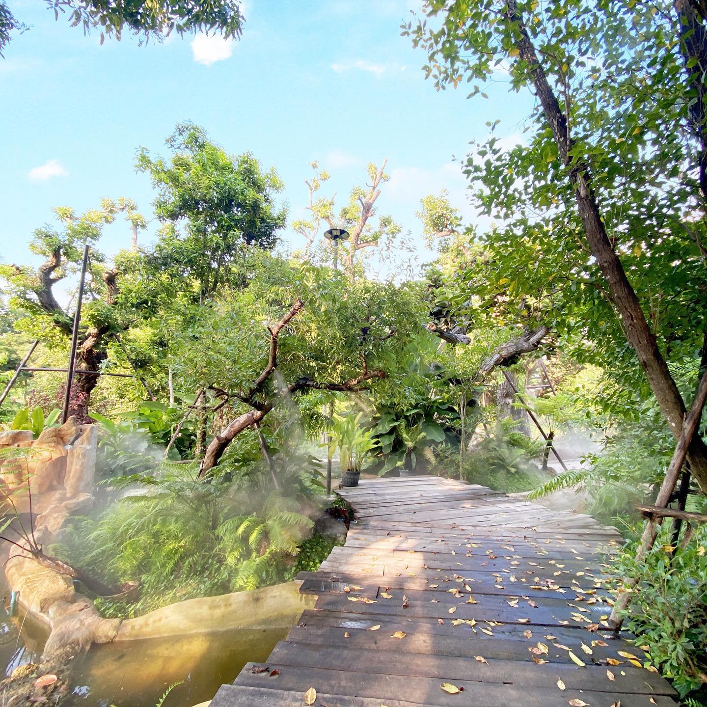 ชิมฮง คาเฟ่ - Chim Hong Cafe, Makesense, Kalamong, เดอ นา คาเฟ่, Benandson Cafe’, Chamcha Cafe, The Weekend Moka, เดี๋ยวเจอสวน&amp;คาเฟ่, Caffe' De Chalawan, Black Hat, Mouth Cafe, Apsara Café Phichit