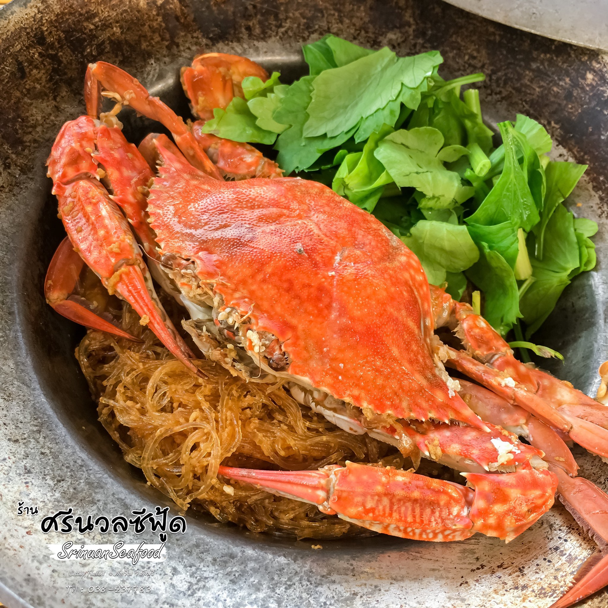 ปูเป็น SEAFOOD PATTAYA, ริมหาด ซีฟู๊ด, ลุงบอยป้ารัตน์, สาขาหาดจอมเทียน, Krua Dongtan ครัวดงตาล, ลุงไสว 1 สุดหาดจอมเทียน พัทยา, ศรีนวลซีฟู้ด, สุดเขต ทะเลเผา