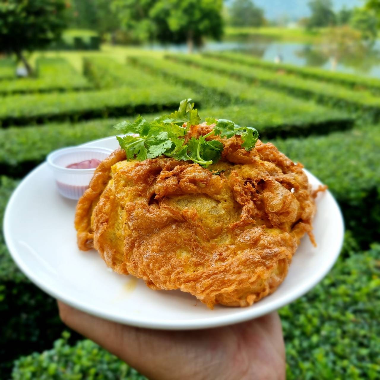 Bok Bok Society, 88Coffee in khaoyai, The Creek @Khao Yai, TARA CAFE' Khaoyai, Pirom Cafe