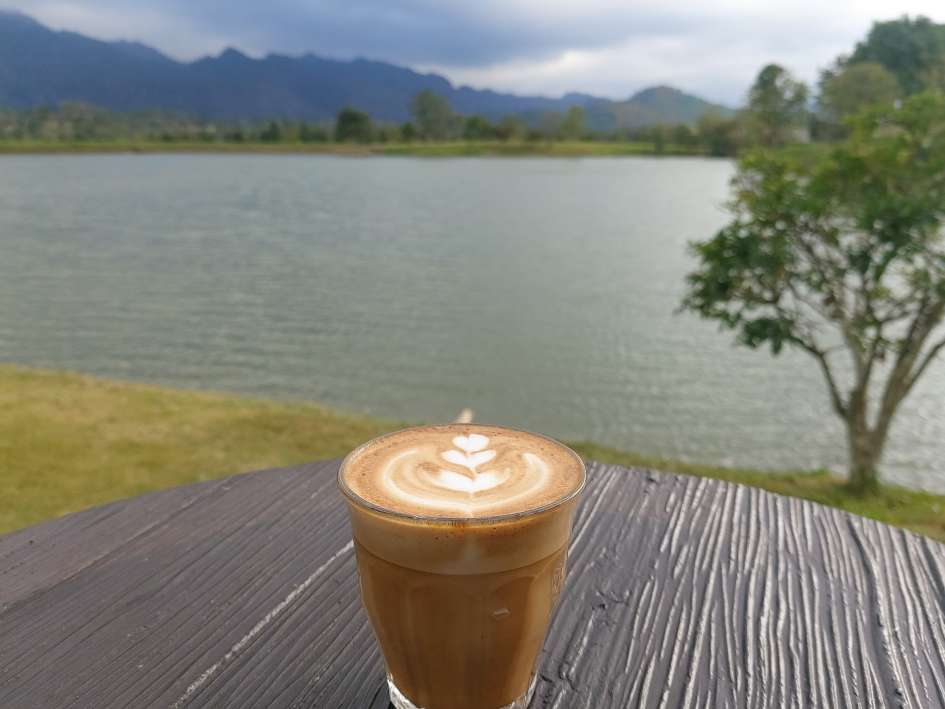 Bok Bok Society, 88Coffee in khaoyai, The Creek @Khao Yai, TARA CAFE' Khaoyai, Pirom Cafe