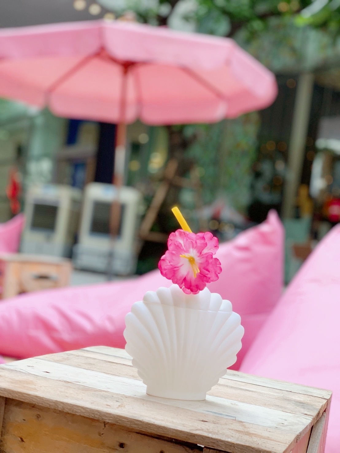 รับทำเค้กและเบเกอรี่ตามสั่งชลบุรี, Cocoa cafe, Sourcreamfactory, Heriot Cafe, Love your trees, BearbyTea, Fermenti, Daydream Café Chonburi, Tutu Beach