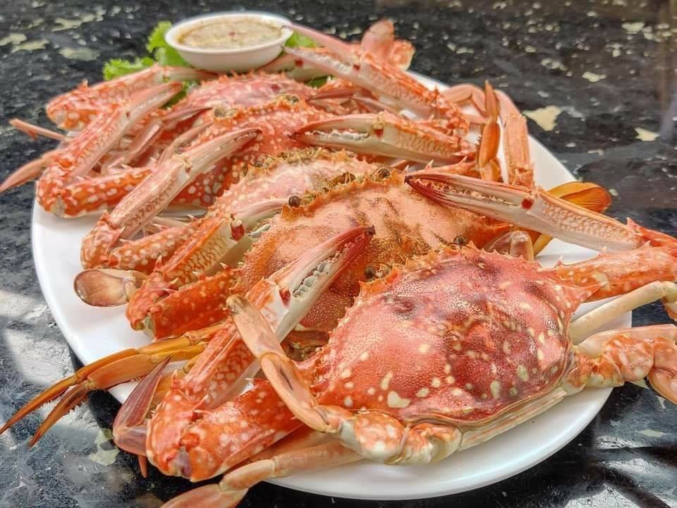 Pop View, ครัวบ้านกลางทะเล, Ripple Sea, ร้านลับหมึกช๊อต อ่าวอุดมซอย17, ร้านป๋าดำซีฟู้ด, ป้าแอ๊ดซีฟู๊ด, ติดดินซีฟู้ด, มุมอร่อย ศรีราชา, TOH CREW, เรือนน้ำซีฟู๊ด ศรีราชา, ครัวทะเล จันผา, ร้านอาหาร เฒ่าทะเล ซีฟู๊ด อ่าวอุดม, ร้านป้อมกินแล้วรวย