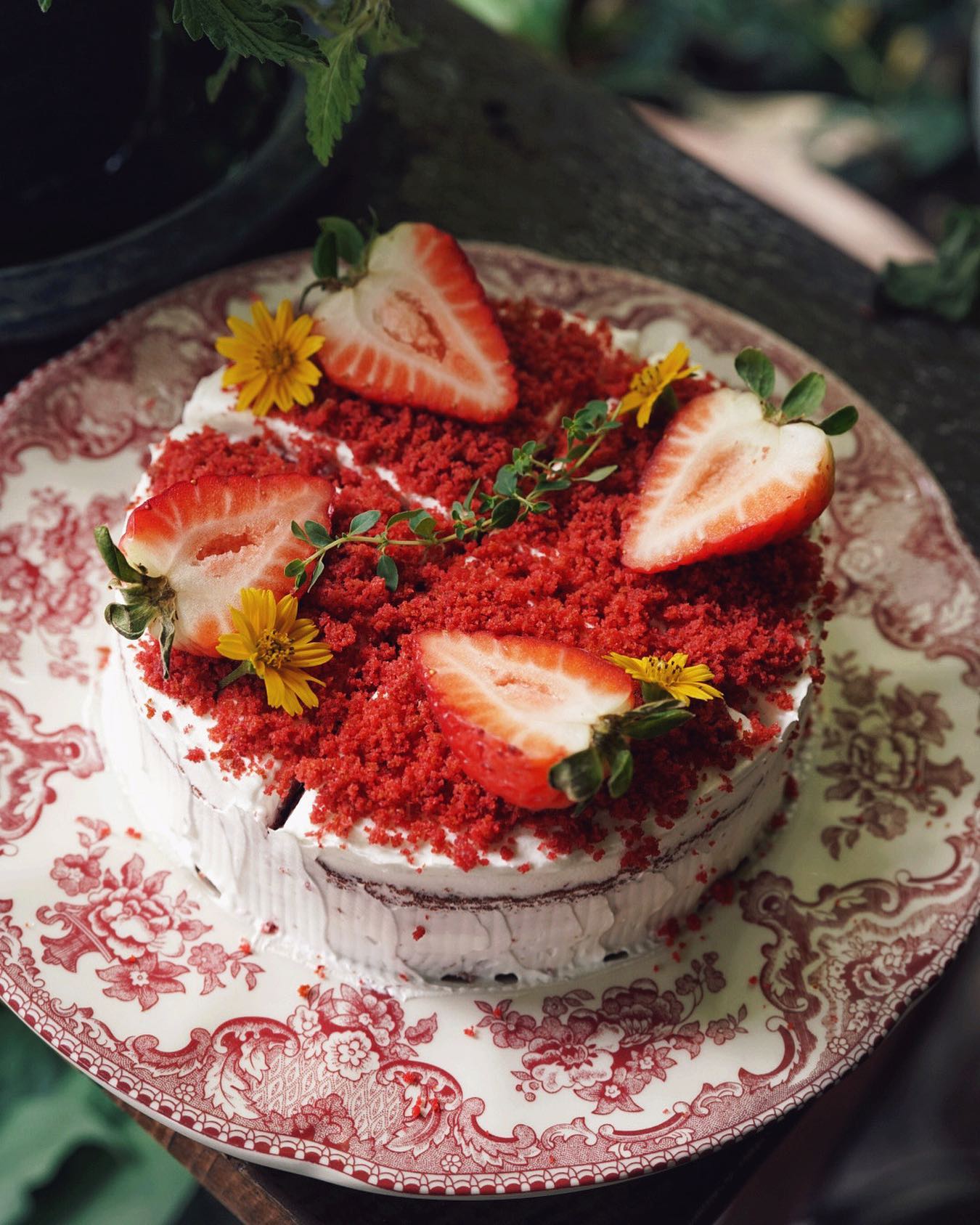 Treespresso cafe, Vigie Sist Café, Aki Choux Cream, Polaris Sunrise Café, MOJI Pool.Villa.icecream, MYTH OVEN, KonJohn coffee slowbar, Eleven Pillar Site, Home’S, Koffandthings.th, Playworks.cafeart, Tree of Life Cafe, Kramfeine, Millilit Cafe, TOMATO.cafe.cnx, MITTE MITTE, Soul Café mju, ZOHNG Coffee, ALSO cafe, Coffee Ngeggee, Graincafe.cnx, Later on cafe, สุขพอดี, FERN FOREST CAFÉ, Forest Bake, ภูฟิน, CHEEVIT CHEEVA, GoodVibes Cafe-Cnx, Chic 39, Zombie Café, Ristr8to, Neo Cafe', ชมนกชมไม้, เก้าคาเฟ่ นิมมาน