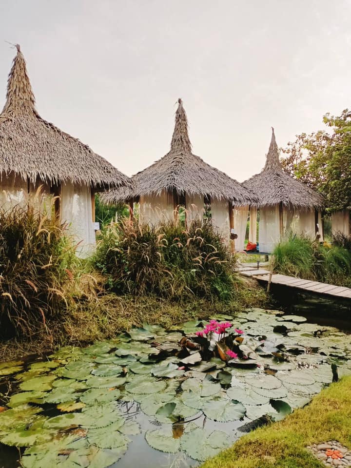 Smitten Cafe and Decor, Thong Ampai Café, THREE Cafe, Continue.cafe, Sunday in 345 cafe, Aprilhouse, The Aileen Cafe', Oliva Cafe, The Kottage Cafe, Plant Cafe, ปิ่นโตนามีตาล, Baan Kanom De'Pathum, Pumpkin Art Town, Mushroom Hut Cafe, KAD Cafe - กาด คาเฟ่, ADAM cafe