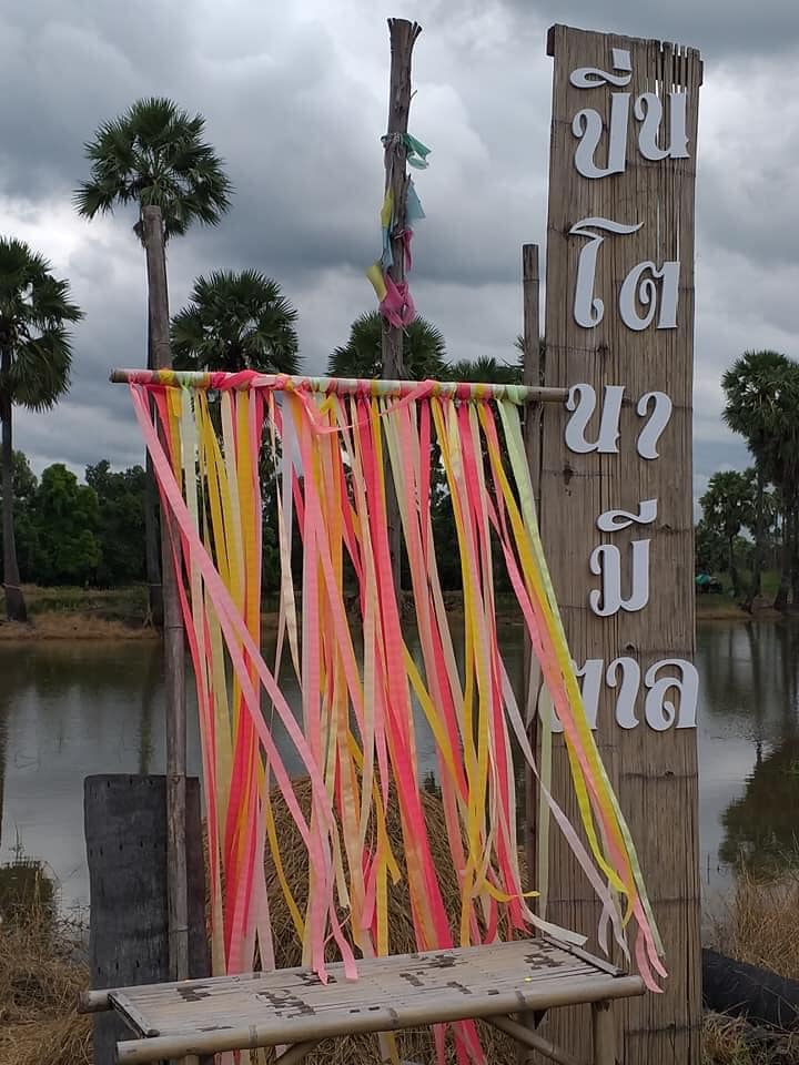 Smitten Cafe and Decor, Thong Ampai Café, THREE Cafe, Continue.cafe, Sunday in 345 cafe, Aprilhouse, The Aileen Cafe', Oliva Cafe, The Kottage Cafe, Plant Cafe, ปิ่นโตนามีตาล, Baan Kanom De'Pathum, Pumpkin Art Town, Mushroom Hut Cafe, KAD Cafe - กาด คาเฟ่, ADAM cafe