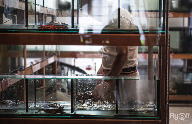 ครัวจำแลง แปลงกาย, ศรีตราด, Jirakaan Restaurant, เสวยซีฟู้ด, เรือนมัลลิการ์, ต้นเครื่อง, บ้านไอซ์, Gedhawa เก็ดถะหวา, Cr. ภาพทั้งหมดจาก Facebook Gedhawa Sukhumvit33, Madam Saranair มาดามสาระแหน่, ตะลิงปลิง สุขุมวิท 34, แสนสำราญที่แสนแสบ