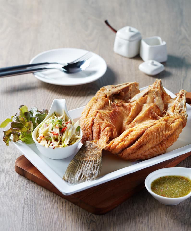 Rhapsody, บ้านส้มตำเมลดา พระนั่งเกล้า, โรงน้ำชา 90', Totoya, จุ่มจุ่ม อีสาน-ชาบู บุฟเฟ่ต์