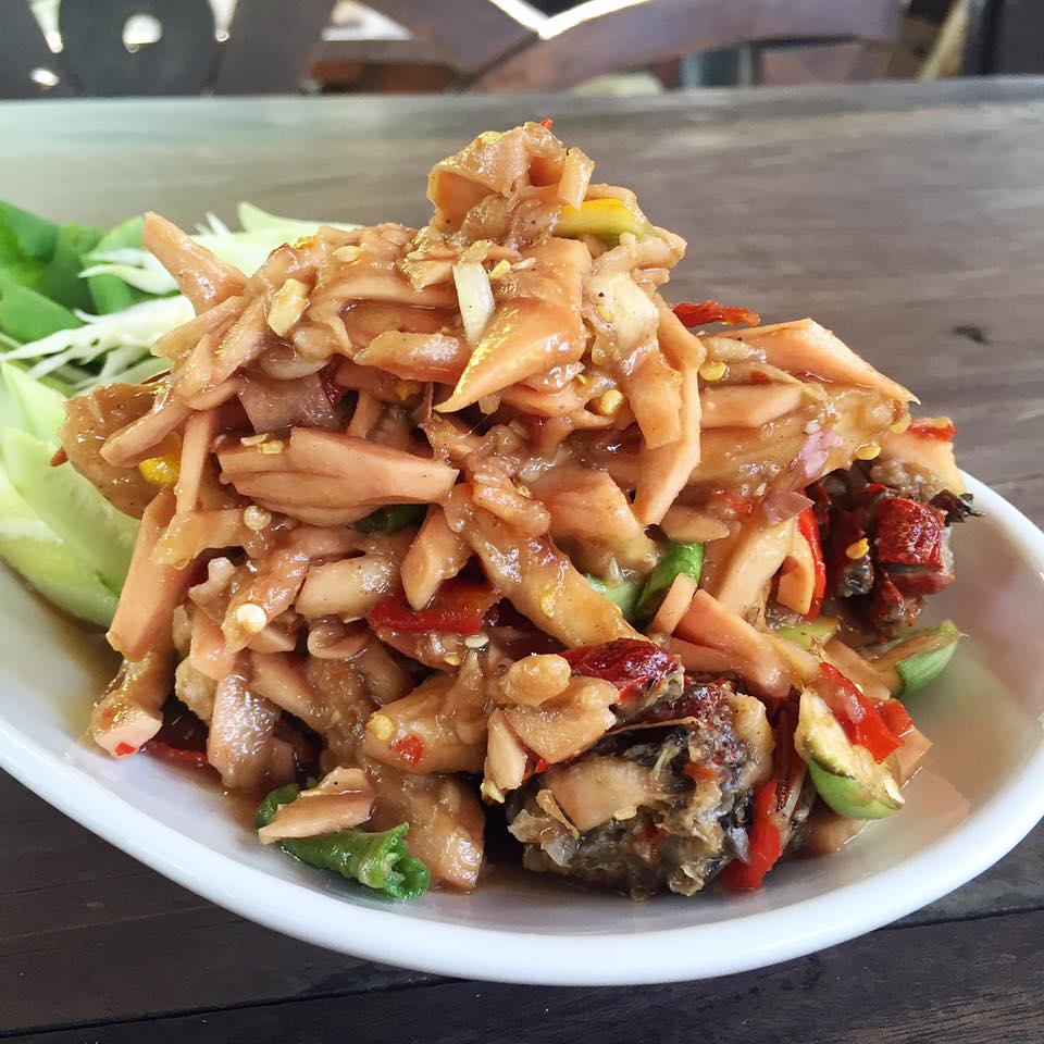 ล้าน เหนือ-น่าน อาหารเหนือ, เนื้อเหนือ Neua.Neur.Bkk, ต๋องเต็มโต๊ะ, สาขาพุทธมณฑล สาย 2, อองตอง ข้าวซอย, ละอ่อน น้ำเงี้ยว อาหารเหนือ, เฮือนลำพูน, รัชดาอาหารเหนือ, ร้านลำแต๊ๆ อาหารพื้นเมือง, ข้าวซอยลำดวนฟ้าฮ่ามเชียงใหม่, สาขาวิภาวดีรังสิต 58, หอมด่วน, ต๊ะต่อนยอน, Cr. ภาพทั้งหมดจาก Facebook ต๊ะต่อนยอน อาหารเหนือ, ฮ้านจาวเหนือ, ต๋องเหนือ Express, ข้าวซอยเชียงใหม่ ตรงข้ามกรมศุลกากร, ครัวเจียงใหม่, ครัวมะแข่น, กาดหลวง มินิ