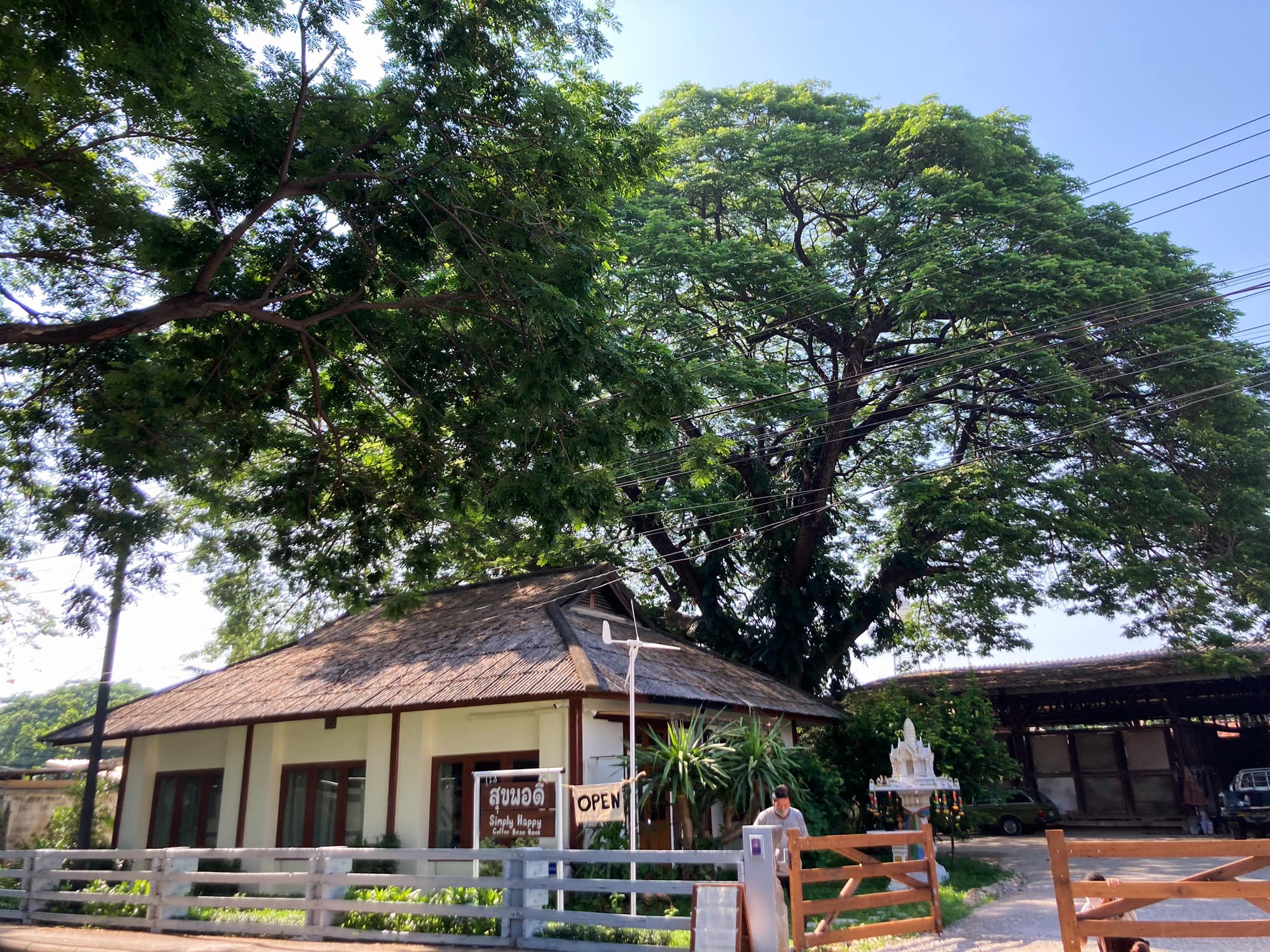 Treespresso cafe, Vigie Sist Café, Aki Choux Cream, Polaris Sunrise Café, MOJI Pool.Villa.icecream, MYTH OVEN, KonJohn coffee slowbar, Eleven Pillar Site, Home’S, Koffandthings.th, Playworks.cafeart, Tree of Life Cafe, Kramfeine, Millilit Cafe, TOMATO.cafe.cnx, MITTE MITTE, Soul Café mju, ZOHNG Coffee, ALSO cafe, Coffee Ngeggee, Graincafe.cnx, Later on cafe, สุขพอดี, FERN FOREST CAFÉ, Forest Bake, ภูฟิน, CHEEVIT CHEEVA, GoodVibes Cafe-Cnx, Chic 39, Zombie Café, Ristr8to, Neo Cafe', ชมนกชมไม้, เก้าคาเฟ่ นิมมาน