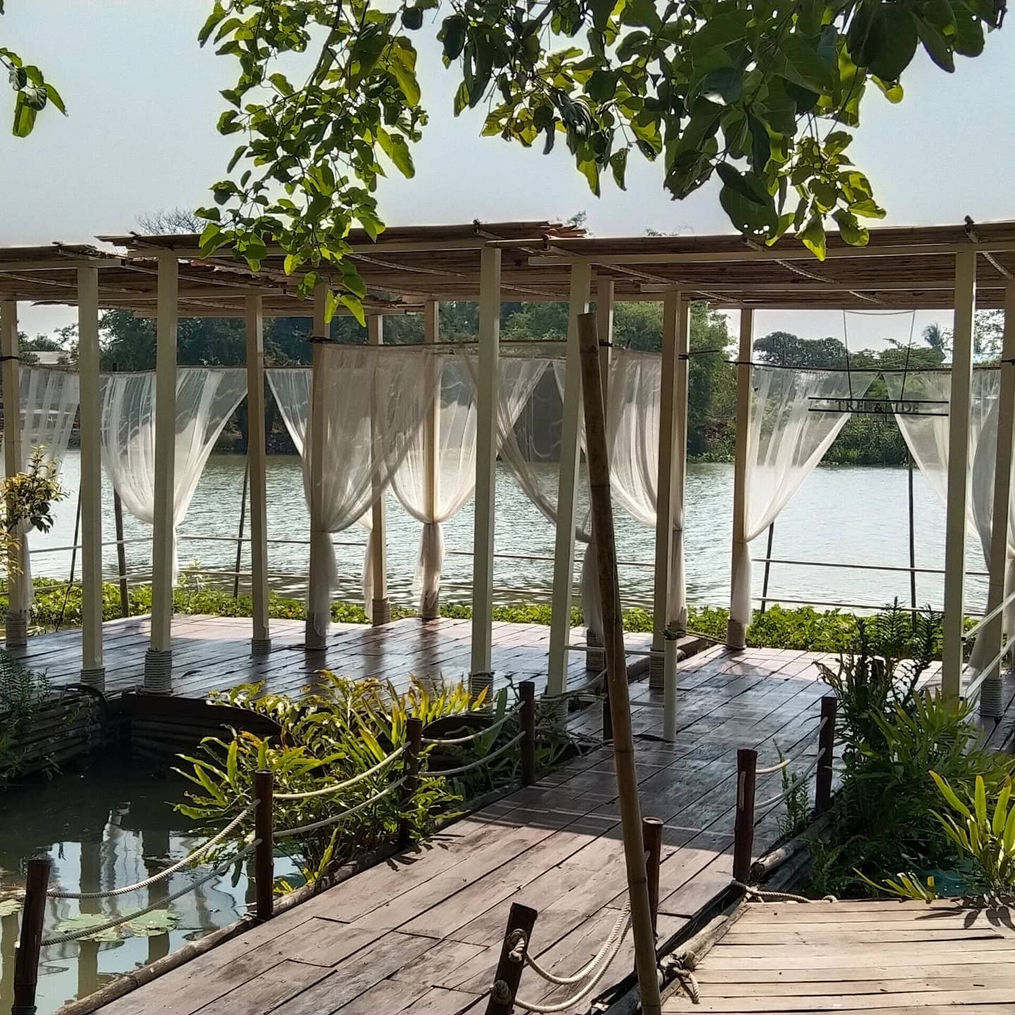 Autumn haus, YOJU Cafe, Lemon Me Farm, STARTCafé, Lot no.8 cafe, 23 cafe and bistro, STAY WITH TREE cafe, April Flavors cafe, Destiny cafe', บ้านปายนา, DUBUA CAFE, House of Chandra - เสน่ห์จันทน์ , 11 Elephant Dessert Cafe, Hangar Cafe', Merce Cafe & Restaurant, Ton Khao Terrace, O2 Kaffee & Bistro, Pomelo Cafe, Little tree, Chinu Coffee