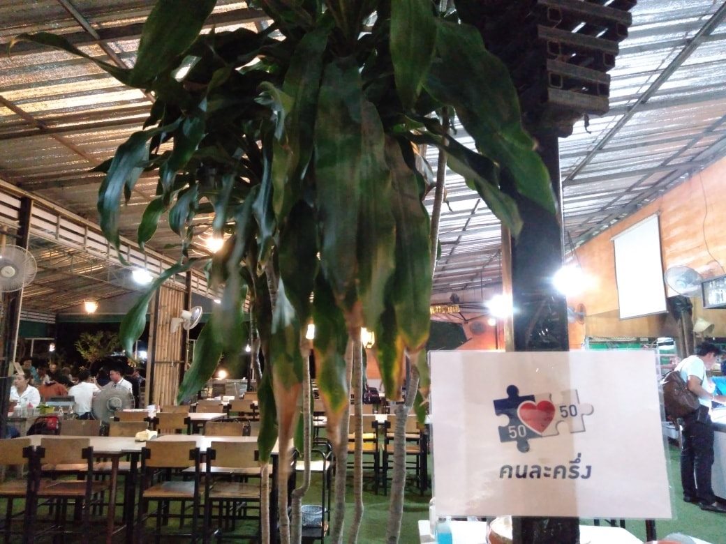 9 Salads ร้านอาหารนายน์สลัด, Kojiro Japanese Cuisine, ตามใจปรารถนา - As You Wish, Mychef Box, Suzuran sushi, บ้านสวย ในสวน, ครัวไผ่เขียว, สวนอาหารริมน้ำอนุสรา เลควิว 18, จุ่มดาดโพนยางคำ, สาขารามอินทรา 40, Blacksugar CAFE BKK, ร้าน นาย ต.เนื้อตุ๋น-วัชรพล, @19Food&amp;Farm, ซินจ่าวอาหารเวียดนาม, Chocolate Ville, Sushi Ken Ken, ครัว แสงดาวเสือ, บึงนวมินทร์, Stitch &amp; Hammer Cafe, Hiro Keki Thailand