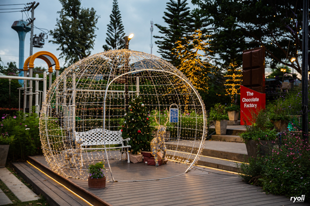 The Chocolate Factory, เยิ้ม ช็อกโกแลต - YERM​ Chocolate, PARADAi, Noir Craft Chocolate Bar, Katie Chocolaterie, PEAK Chocolate Passionist, Royce' Chocolate Thailand