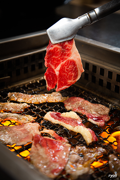 Shinkanzen sushi, สาขา BIG C รัชดา, Neta Fish&Meat, Tohkai Japanese Restaurant