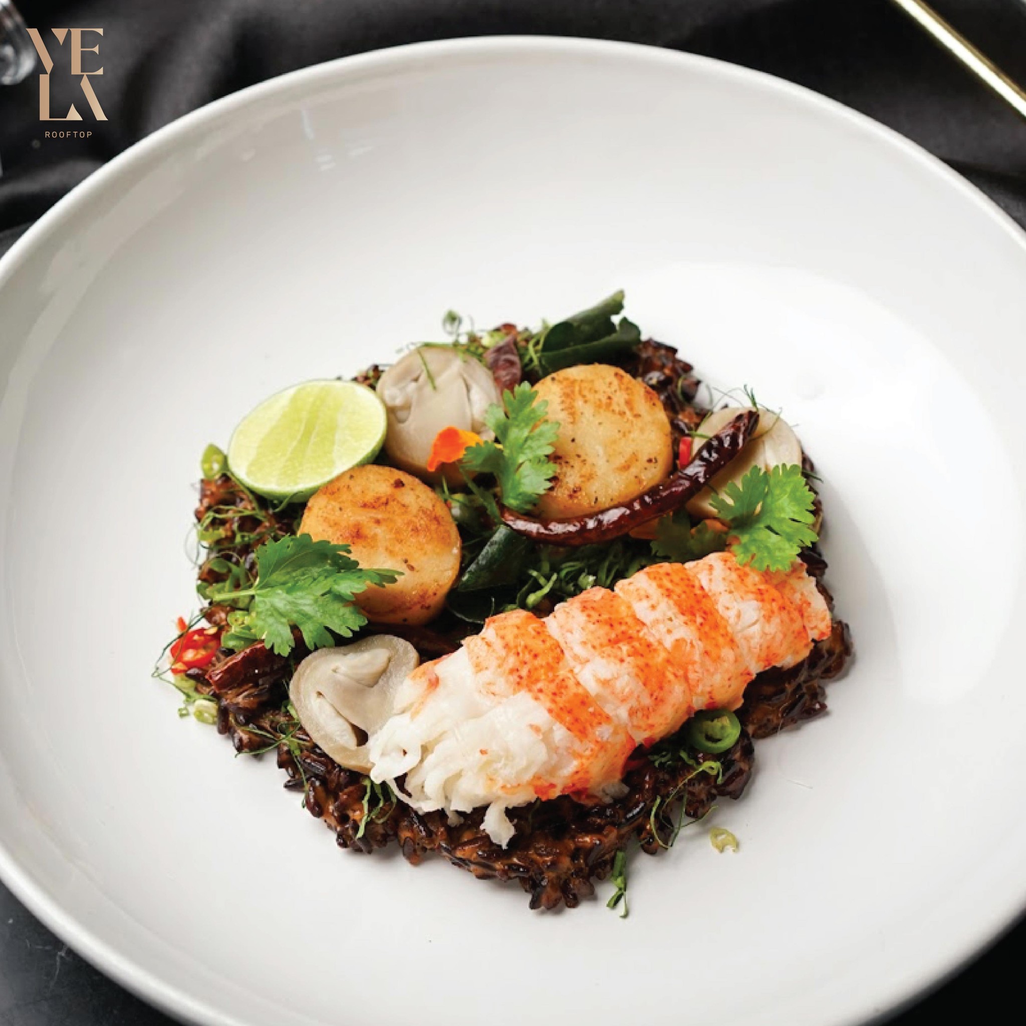 Pachi Bangkok, Seishin Izakaya, Opmbkk, Bar scofflaws, The Cavalry, Honest Mistake Bar, Vela.rooftop, Cat on the roof, Shaka Grill &amp; Bar, The Garrison Bangkok, OLDER, Paper Butter