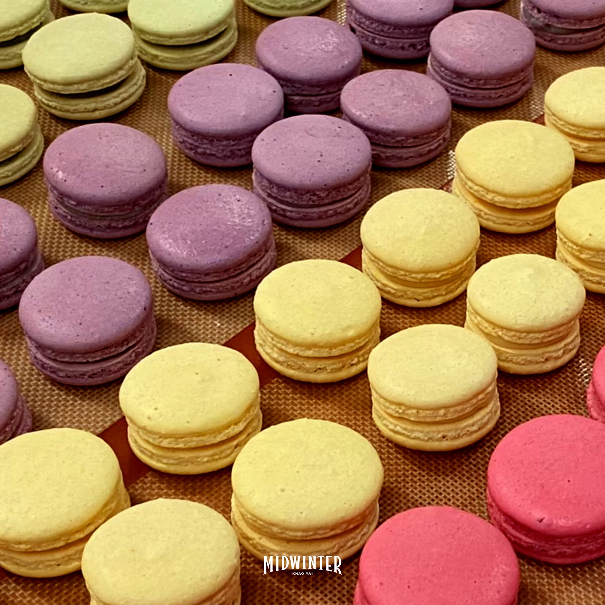 Midwinter, Dandelion Bake Studio, Cafe Reverie, Portobello &amp; Désiré, Level 50 by SEE FAH, Siam Yacht Club, Blue Sky, at Centara Grand, Mezzaluna Restaurant