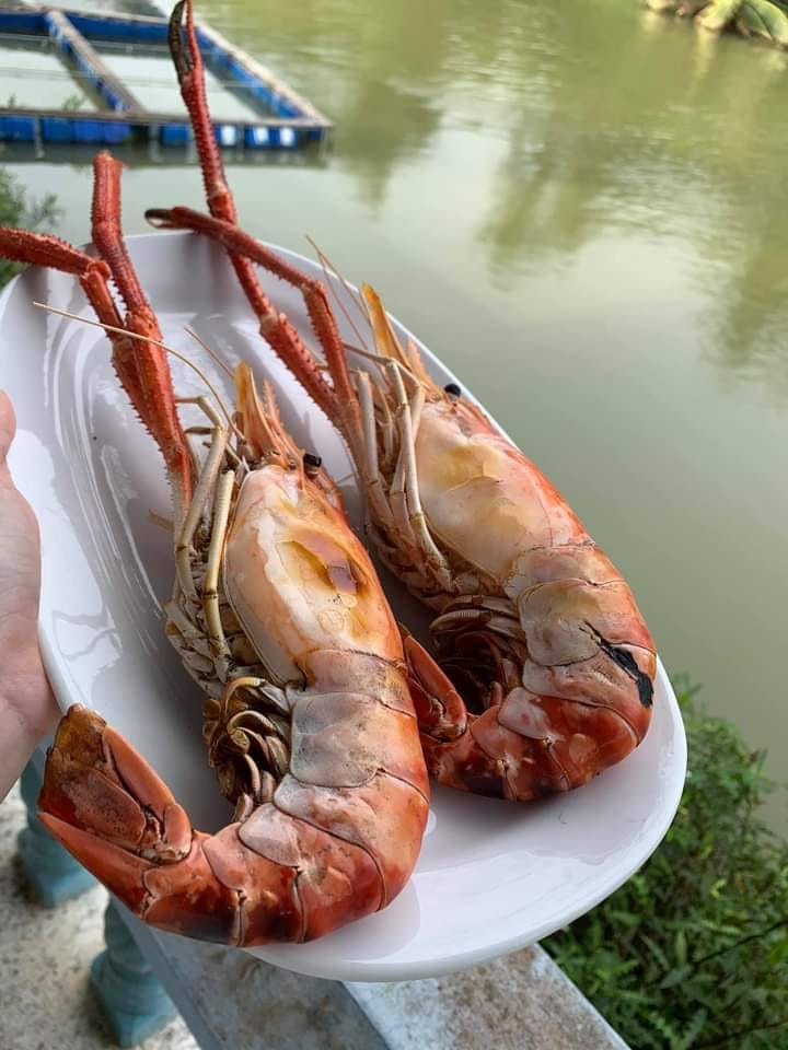 ครัวผักสด, Iconic Club Style, แก้วติ่มซำ, ตำ มึน มึน น., สวนอาหารริเวอร์ไซด์การเด้น, ยายปวด, ลุย, นิวแซ่บสุดซอย, ครัวตาอ้อซีฟู๊ด ชุมพร, ลุงเผล็นกุ้งหลวง, แม่ไม้ซีฟู้ด, ครัวสวนตาจี๊ด, ฟารีดาชาโรตี สาขาชุมพร, ก๋วยเตี๋ยวเนื้อนายดำ, ครัวทุ่งแพะ, บ้านพรรคพวก, ร้านอาหารตะเกียงไทยชุมพร, โกเหลียง, ครัวบ้านริมน้ำ ไร่ล่างซิตี้, พนังตักซีฟู๊ด คาเฟ่&amp;บาร์, ติ่มซำ หอเจี๊ยะ at ชุมพร, ครัวคุณจักษ์