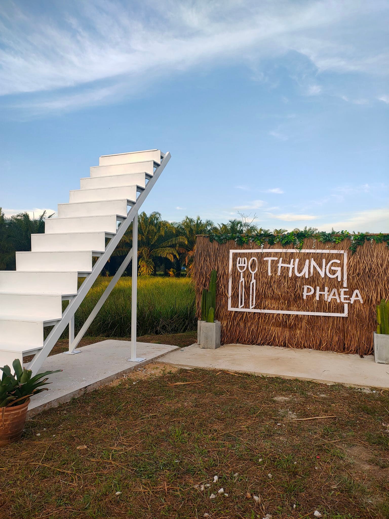 ครัวผักสด, Iconic Club Style, แก้วติ่มซำ, ตำ มึน มึน น., สวนอาหารริเวอร์ไซด์การเด้น, ยายปวด, ลุย, นิวแซ่บสุดซอย, ครัวตาอ้อซีฟู๊ด ชุมพร, ลุงเผล็นกุ้งหลวง, แม่ไม้ซีฟู้ด, ครัวสวนตาจี๊ด, ฟารีดาชาโรตี สาขาชุมพร, ก๋วยเตี๋ยวเนื้อนายดำ, ครัวทุ่งแพะ, บ้านพรรคพวก, ร้านอาหารตะเกียงไทยชุมพร, โกเหลียง, ครัวบ้านริมน้ำ ไร่ล่างซิตี้, พนังตักซีฟู๊ด คาเฟ่&amp;บาร์, ติ่มซำ หอเจี๊ยะ at ชุมพร, ครัวคุณจักษ์