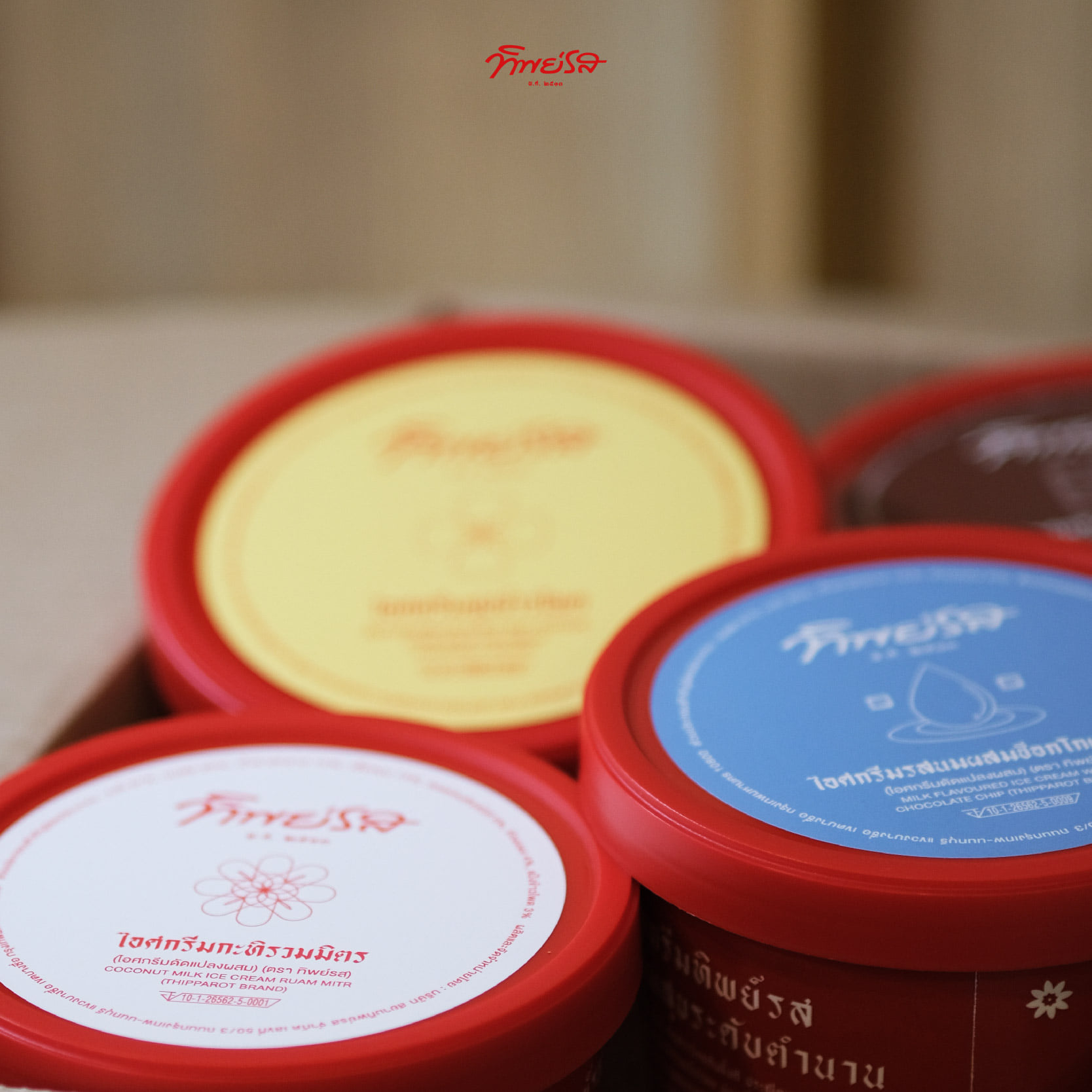 มหาชัยไอศกรีม, พัชชาไอศครีมกะทิ, หวานลิ้นไอติมทรงเครื่อง, M'scream, ฟู่ฟู่ ไอติมกะทิ, ไผ่ทองไอสครีม, ไอศกรีมทิพย์รส