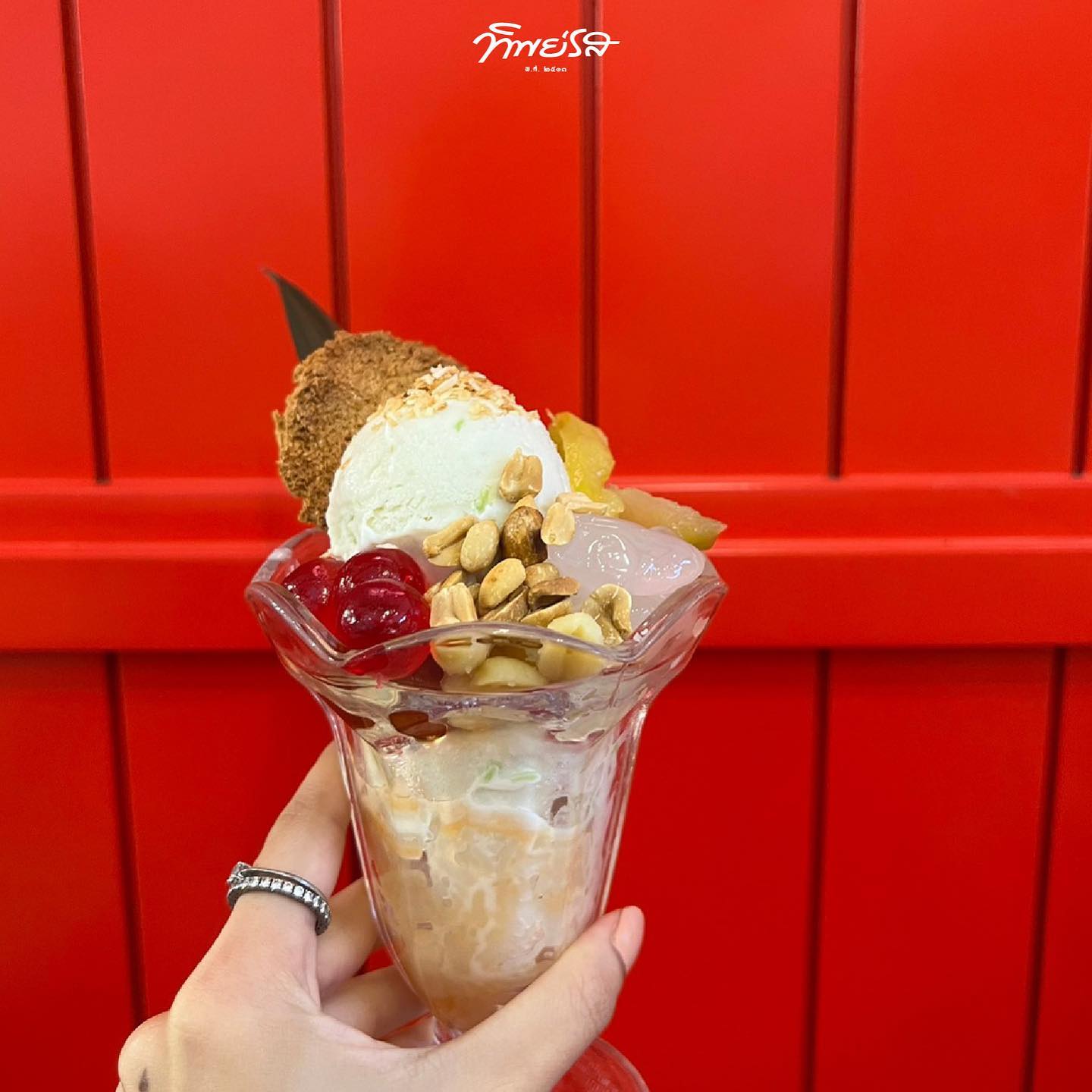 มหาชัยไอศกรีม, พัชชาไอศครีมกะทิ, หวานลิ้นไอติมทรงเครื่อง, M'scream, ฟู่ฟู่ ไอติมกะทิ, ไผ่ทองไอสครีม, ไอศกรีมทิพย์รส